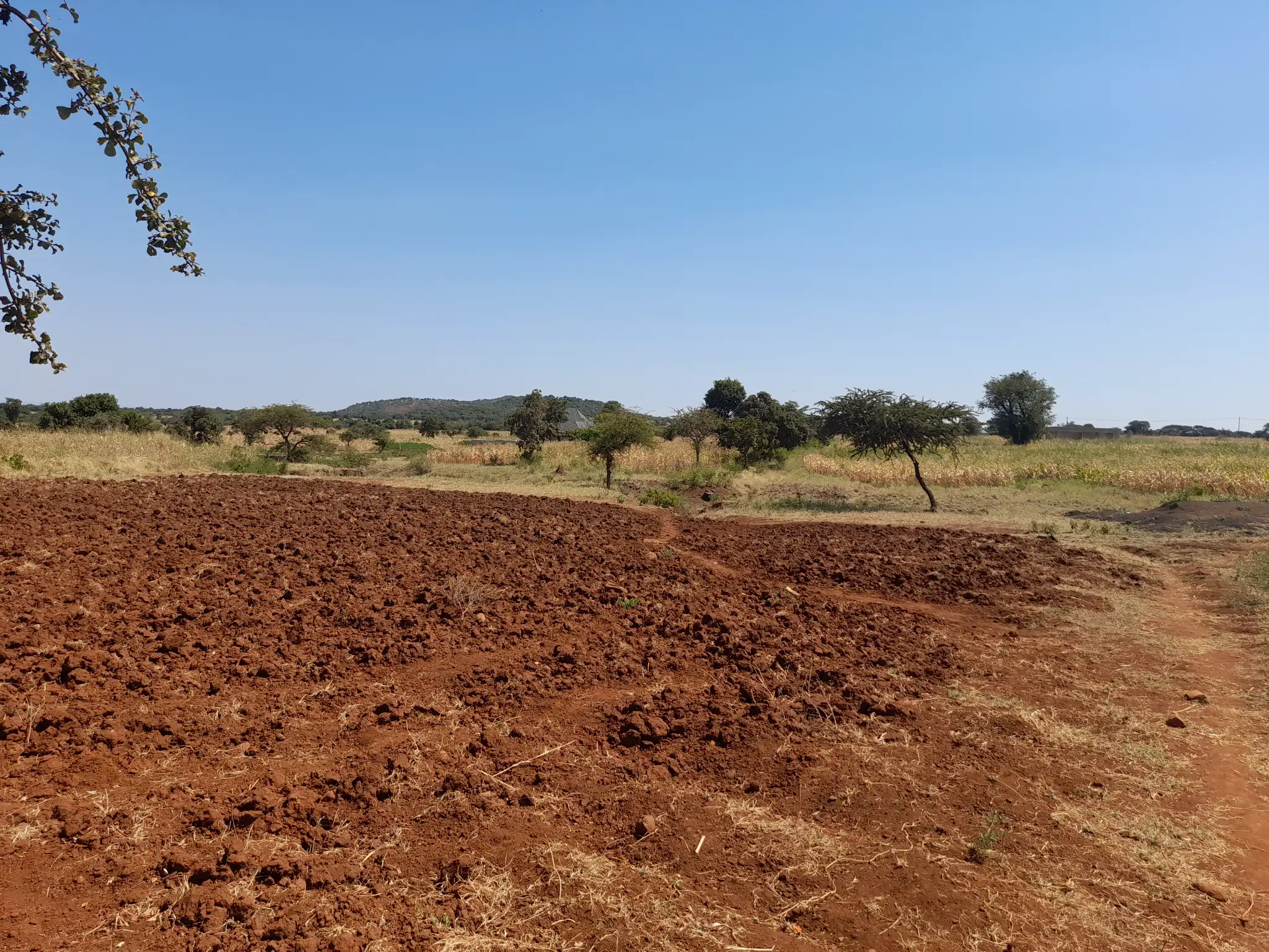 Kiwanja Bora cha Makazi au Kilimo Karibu na Barabara Kuu ya Naberera Muungano, Kiserian