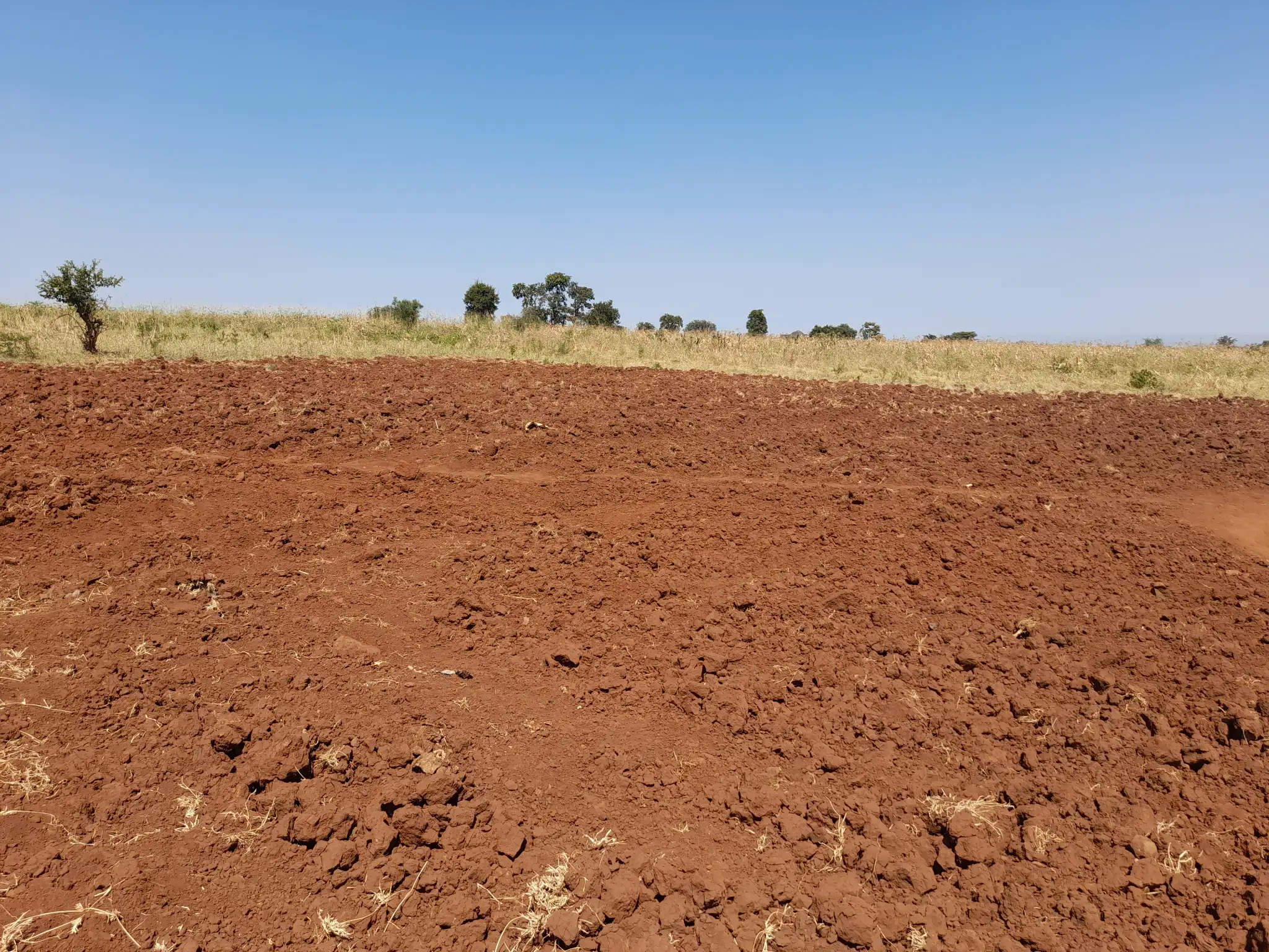 Kiwanja Bora cha Makazi au Kilimo Karibu na Barabara Kuu ya Naberera Muungano, Kiserian