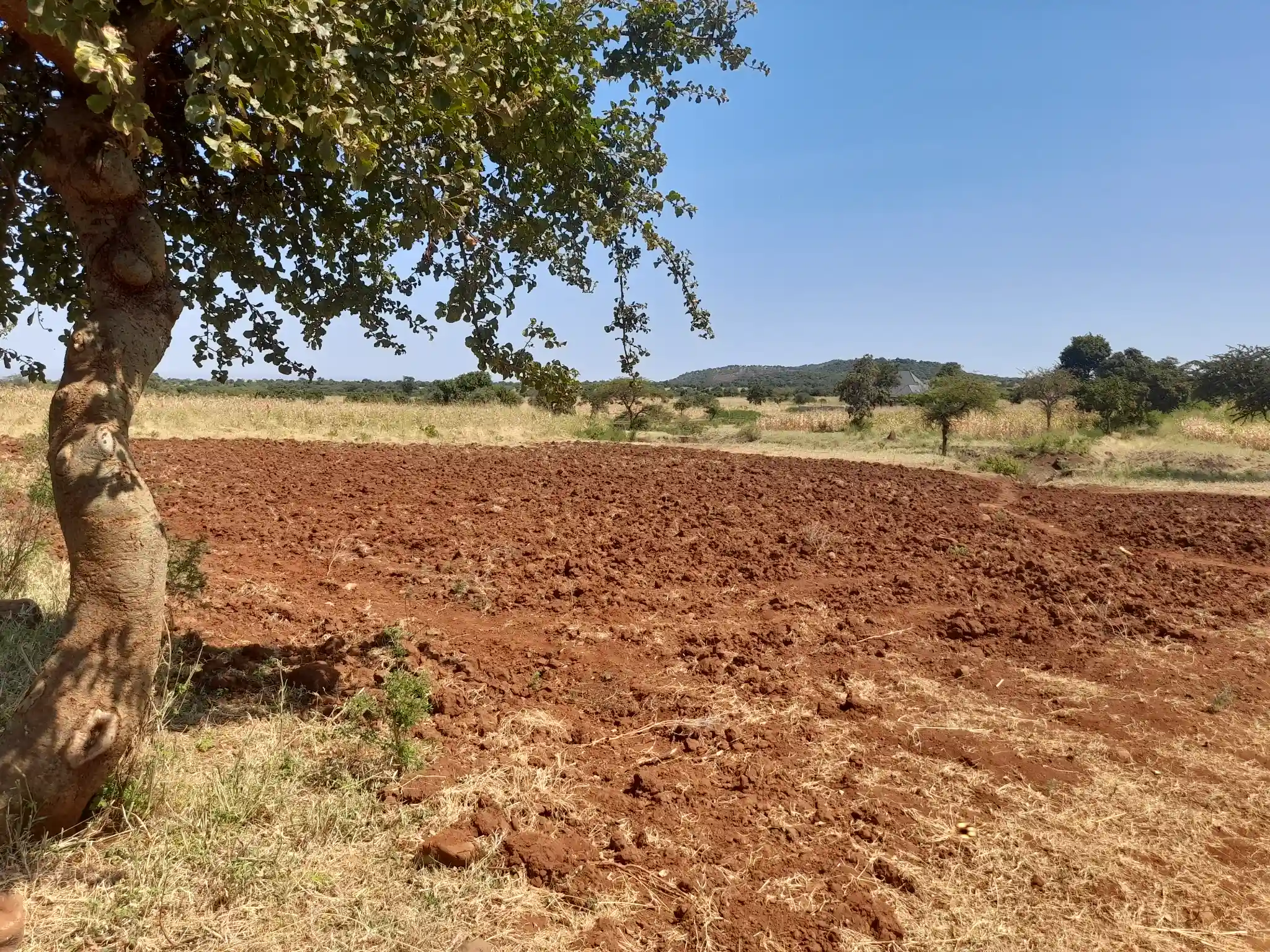 Kiwanja Bora cha Makazi au Kilimo Karibu na Barabara Kuu ya Naberera Muungano, Kiserian