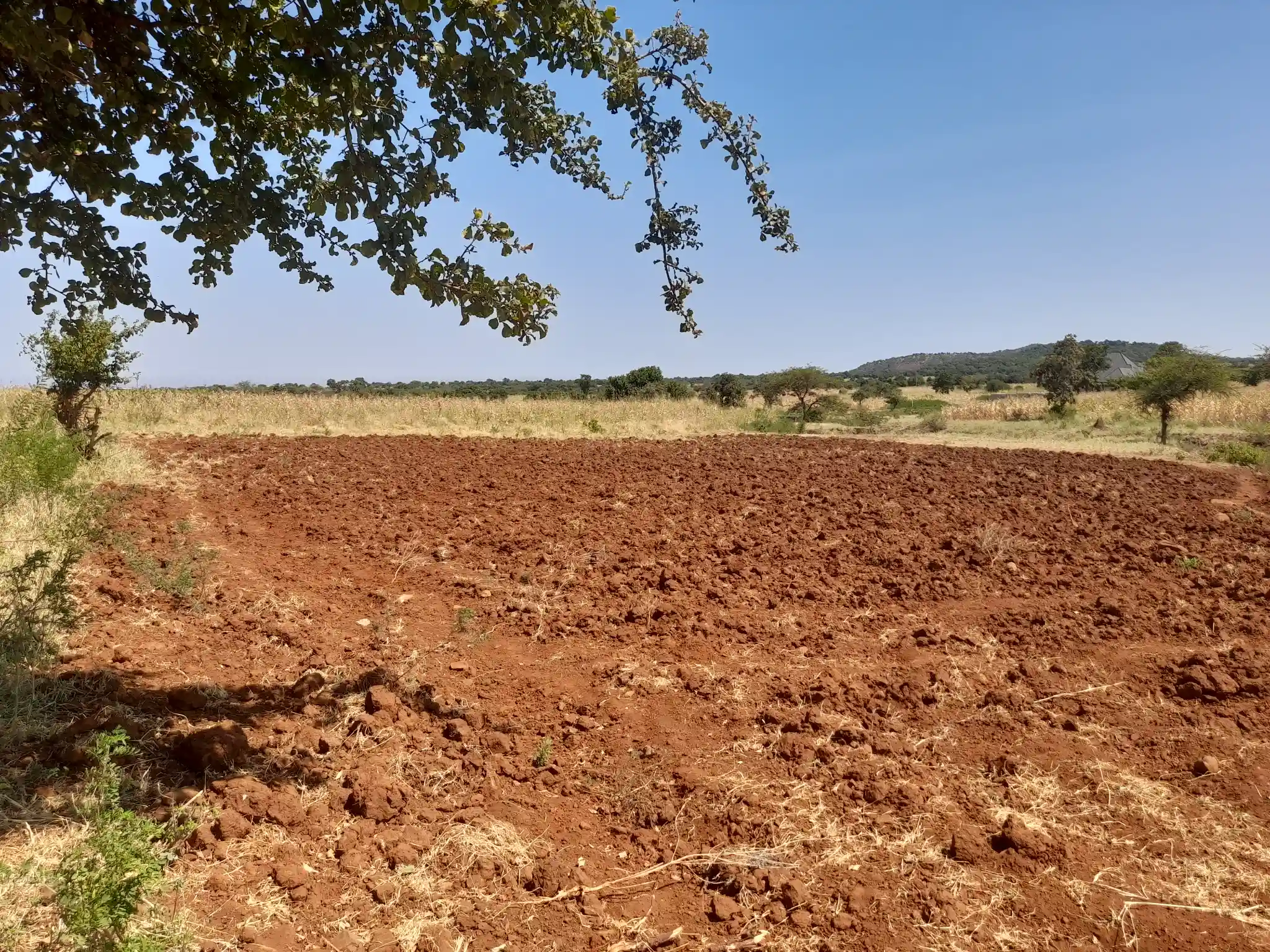 Kiwanja Bora cha Makazi au Kilimo Karibu na Barabara Kuu ya Naberera Muungano, Kiserian