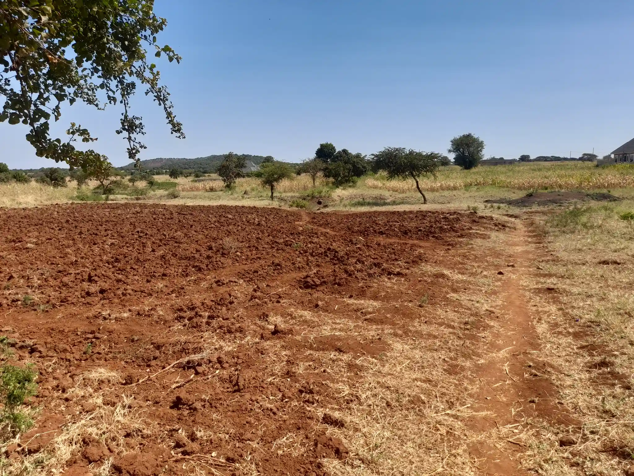 Kiwanja Bora cha Makazi au Kilimo Karibu na Barabara Kuu ya Naberera Muungano, Kiserian
