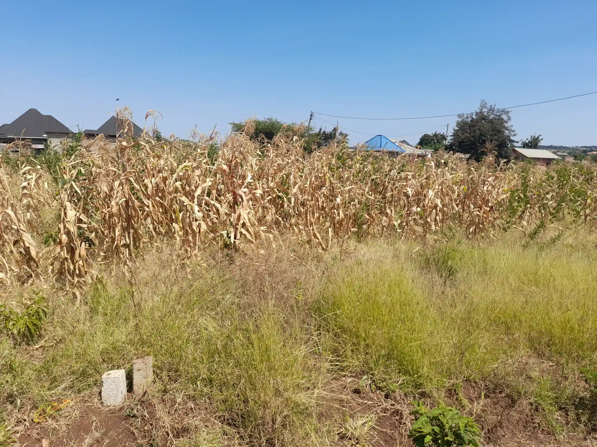 Kiwanja cha 20×40m Lesoit, Kiserian Kinafaa Kugawanywa Katika Eneo Linalokua kwa Kasi