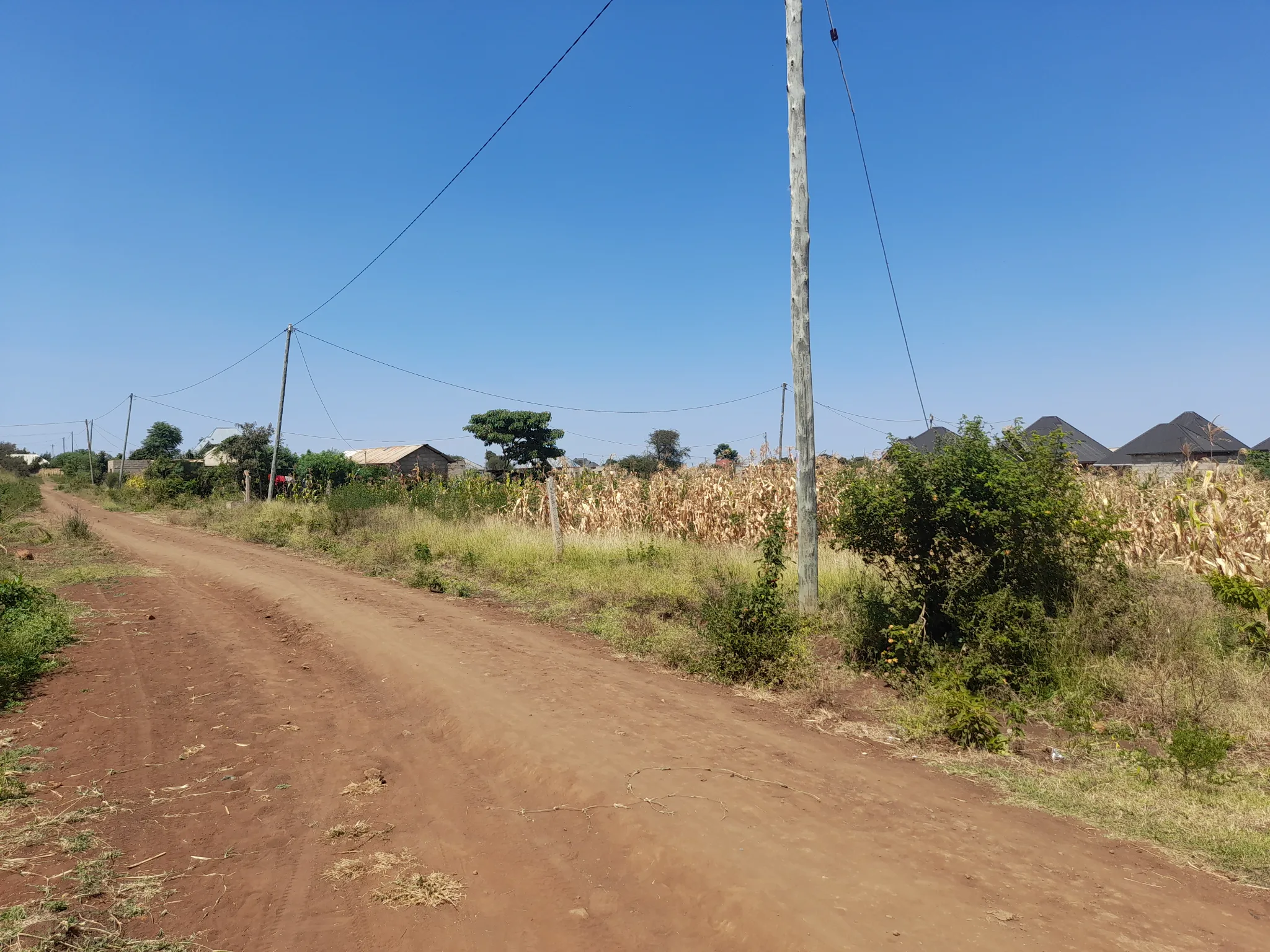 Kiwanja cha 20×40m Lesoit, Kiserian Kinafaa Kugawanywa Katika Eneo Linalokua kwa Kasi