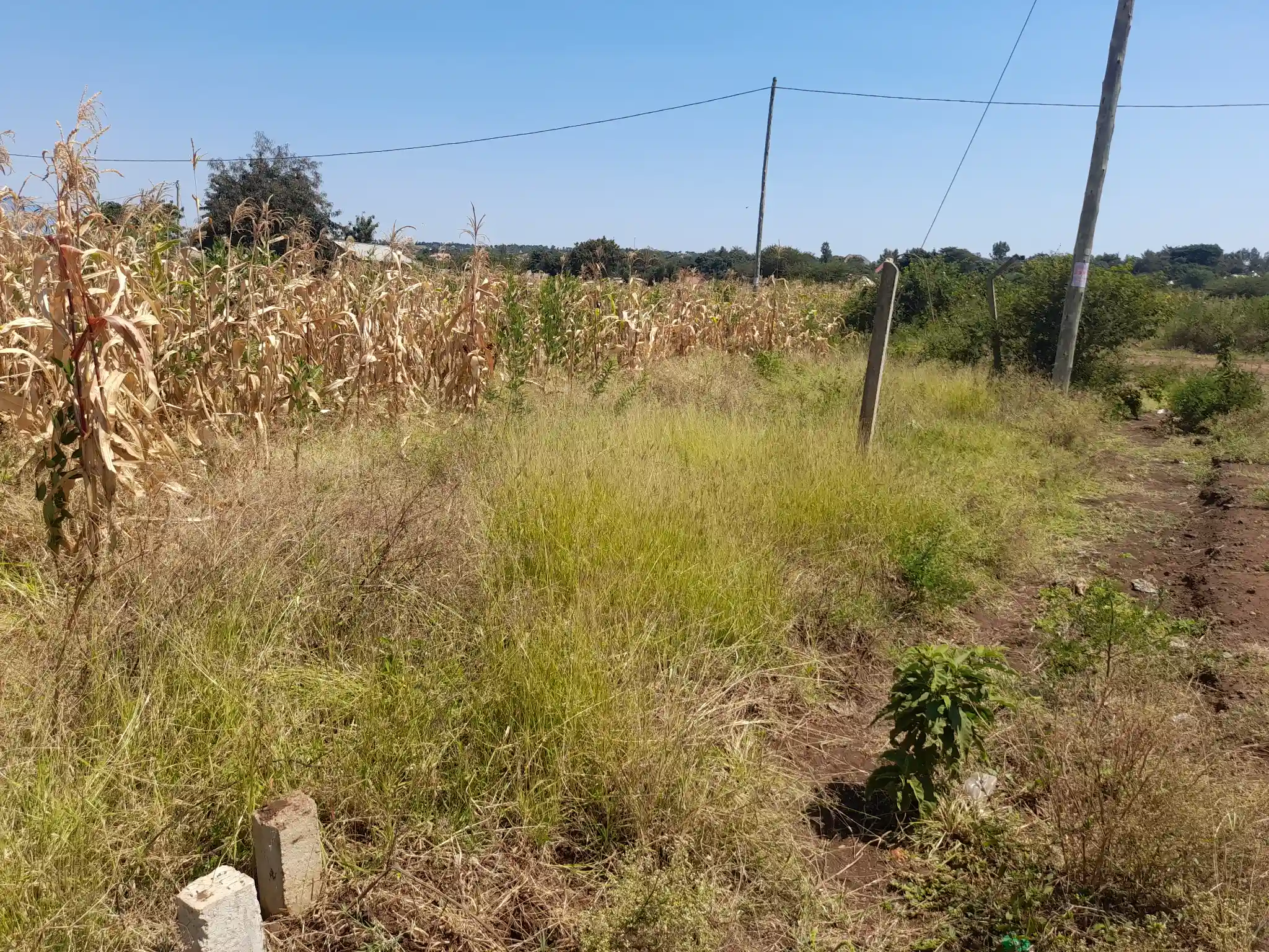 Kiwanja cha 20×40m Lesoit, Kiserian Kinafaa Kugawanywa Katika Eneo Linalokua kwa Kasi