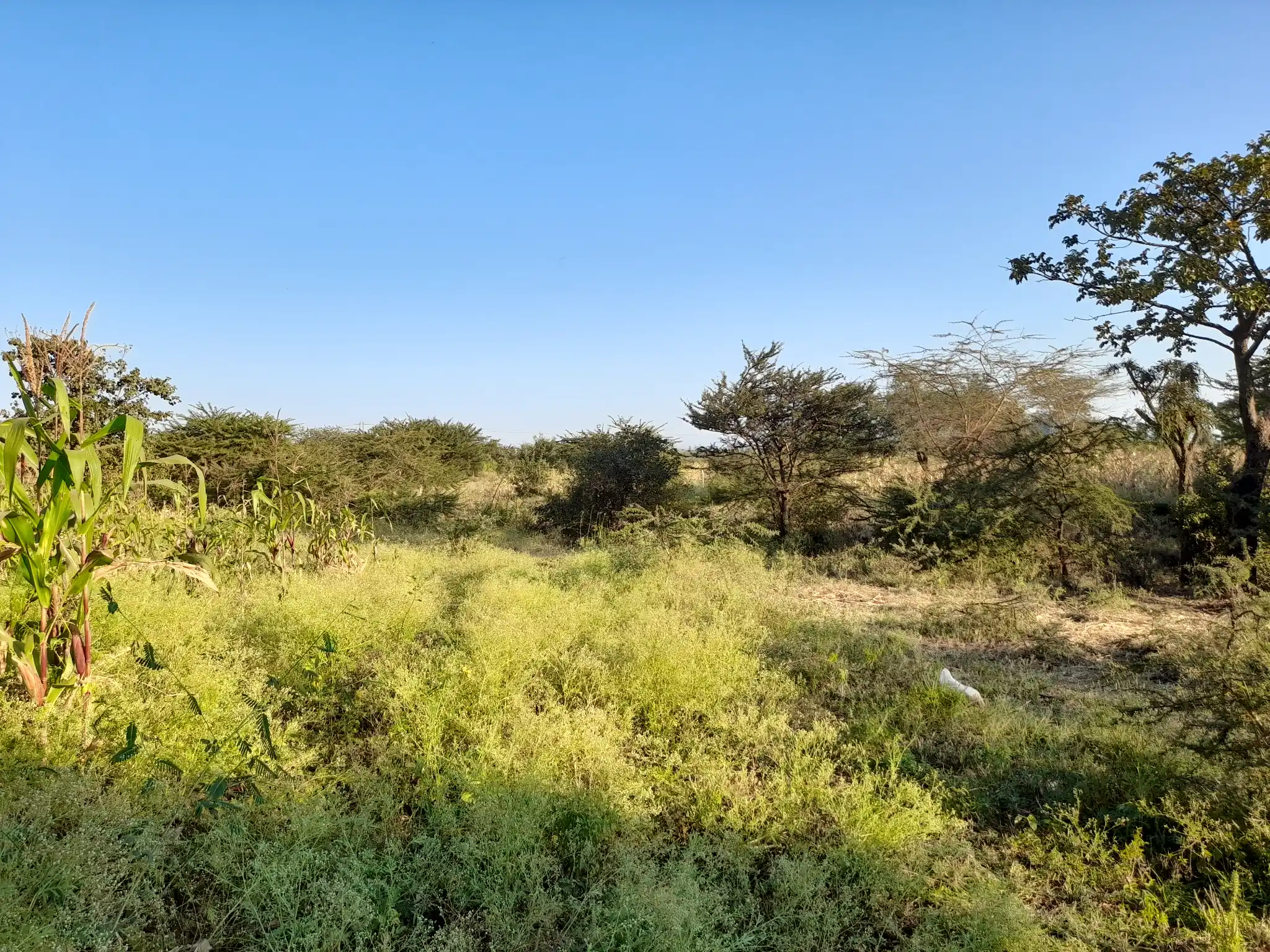 Kiwanja cha Makazi Mita 110 Kutoka Barabara Kuu ya Naberera – Muungano, Kiserian