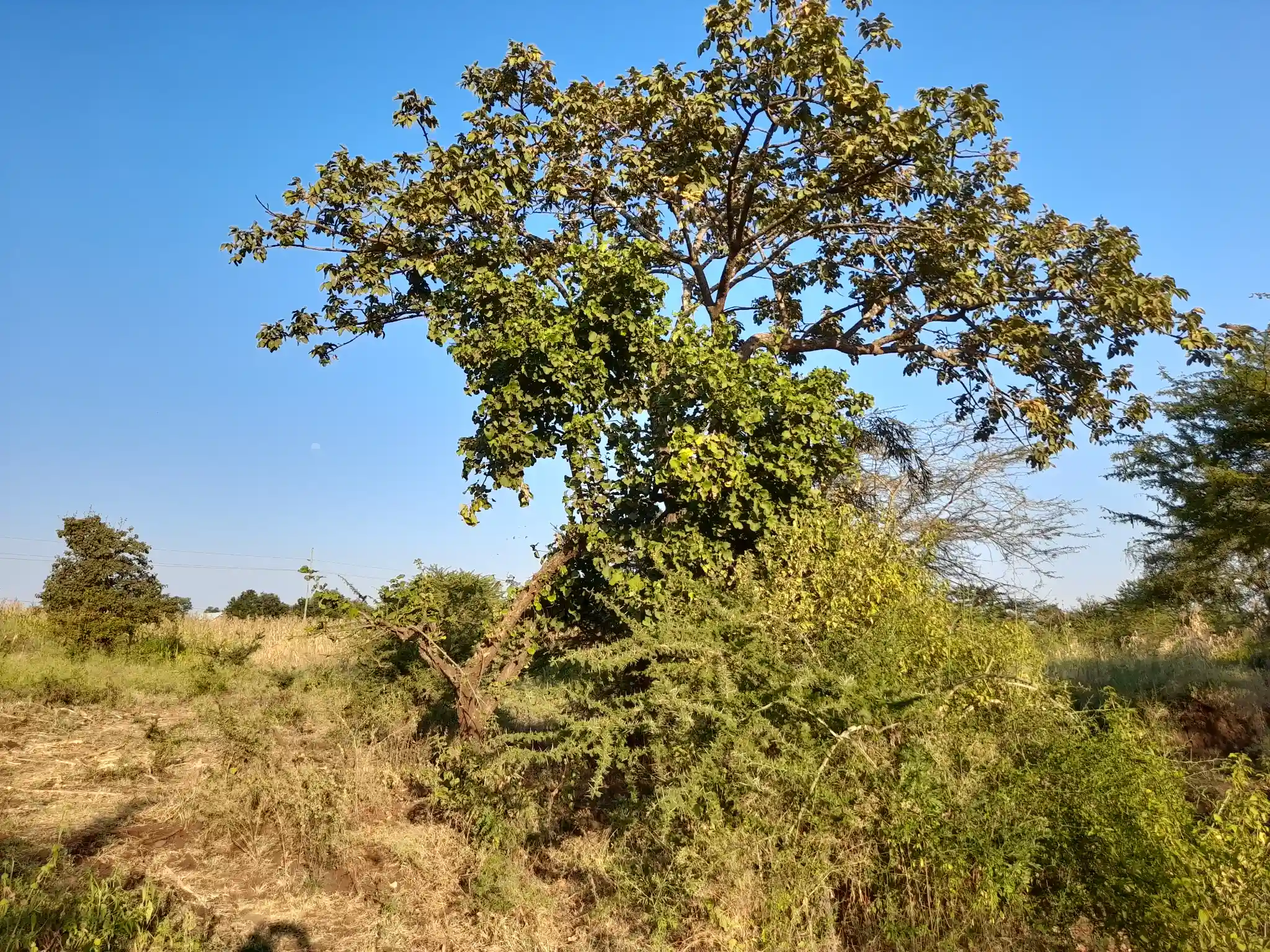 Kiwanja cha Makazi Mita 110 Kutoka Barabara Kuu ya Naberera – Muungano, Kiserian
