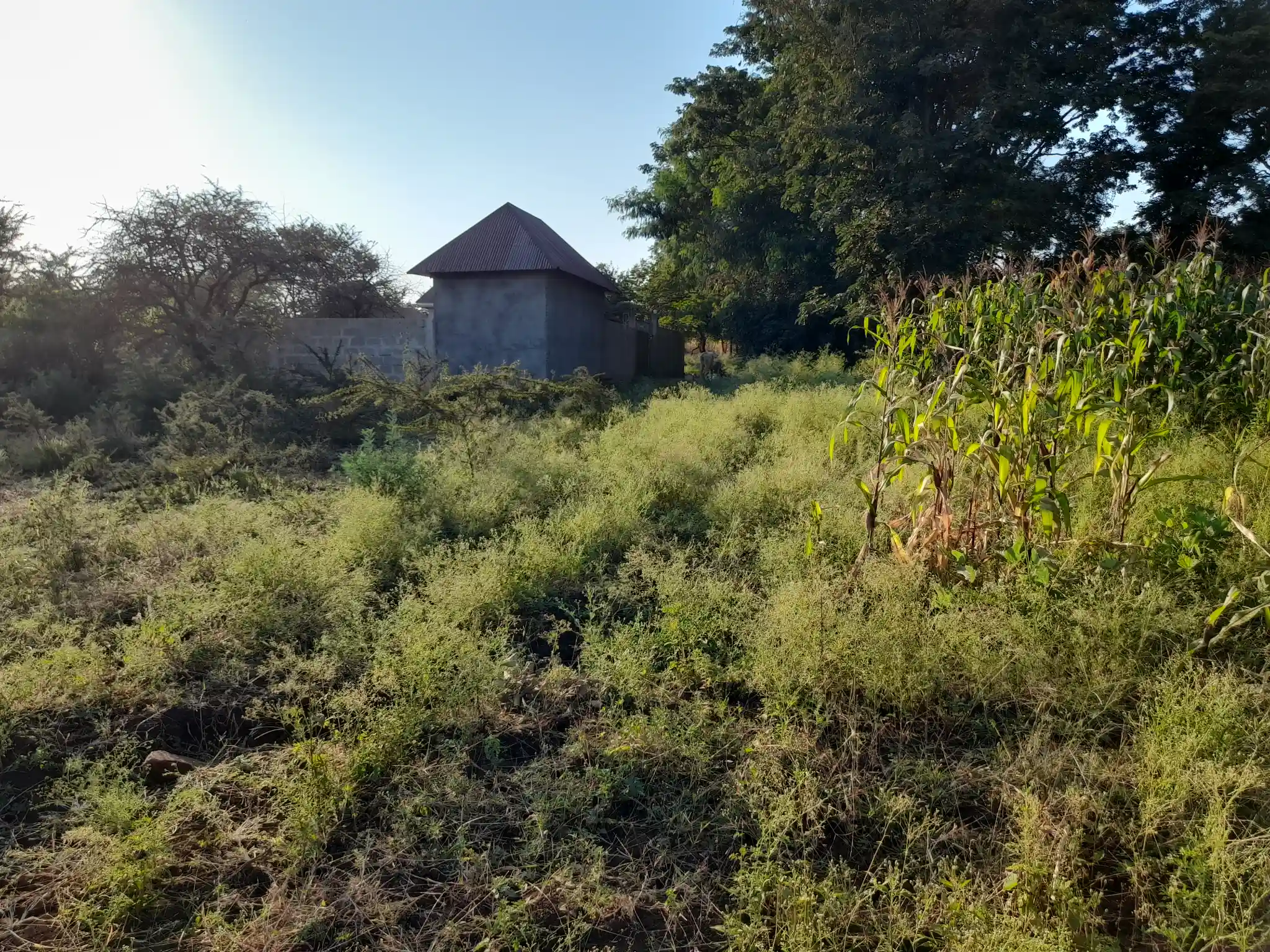 Kiwanja cha Makazi Mita 110 Kutoka Barabara Kuu ya Naberera – Muungano, Kiserian