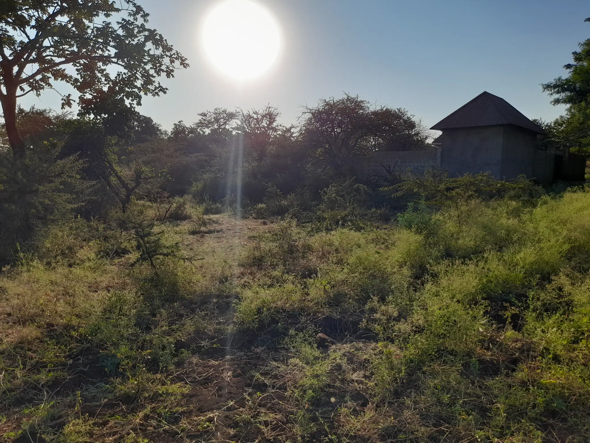 Kiwanja cha Makazi Mita 110 Kutoka Barabara Kuu ya Naberera – Muungano, Kiserian