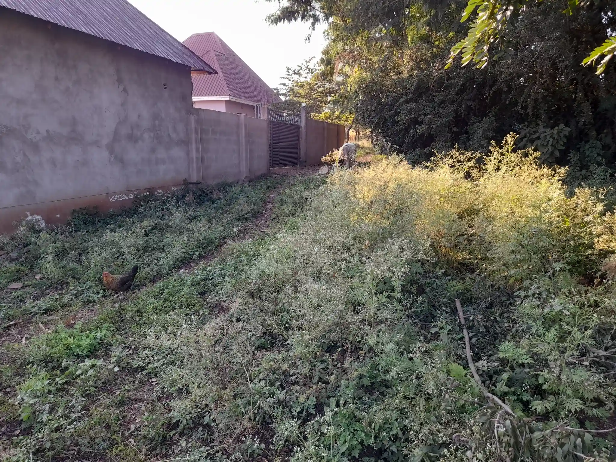 Kiwanja cha Makazi Mita 110 Kutoka Barabara Kuu ya Naberera – Muungano, Kiserian