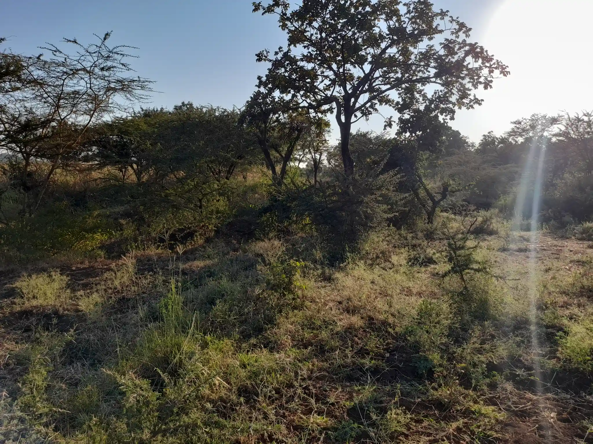 Kiwanja cha Makazi Mita 110 Kutoka Barabara Kuu ya Naberera – Muungano, Kiserian