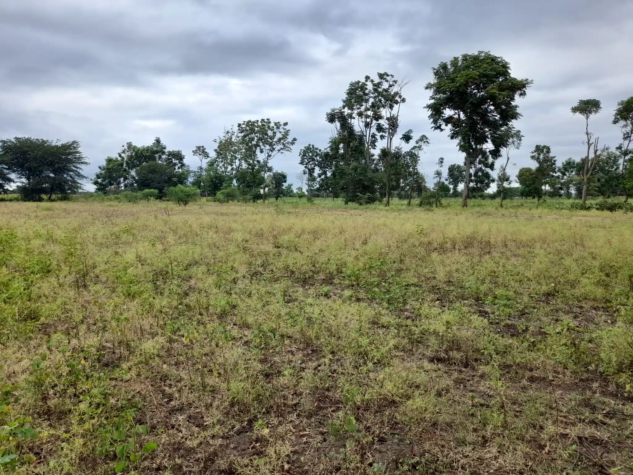 Shamba zuri la ekari 1.2 Olodenderit