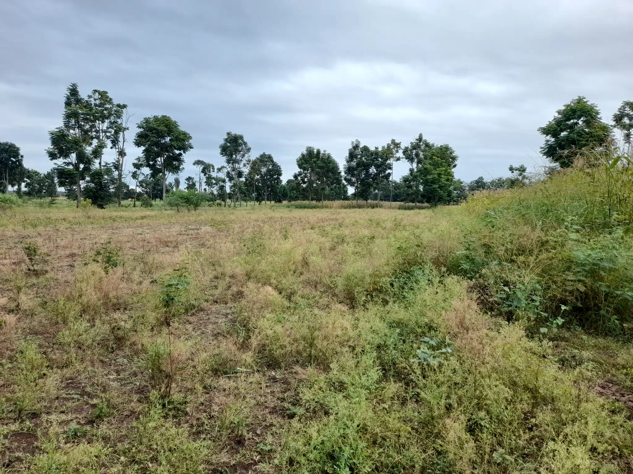 Shamba zuri la ekari 1.2 Olodenderit