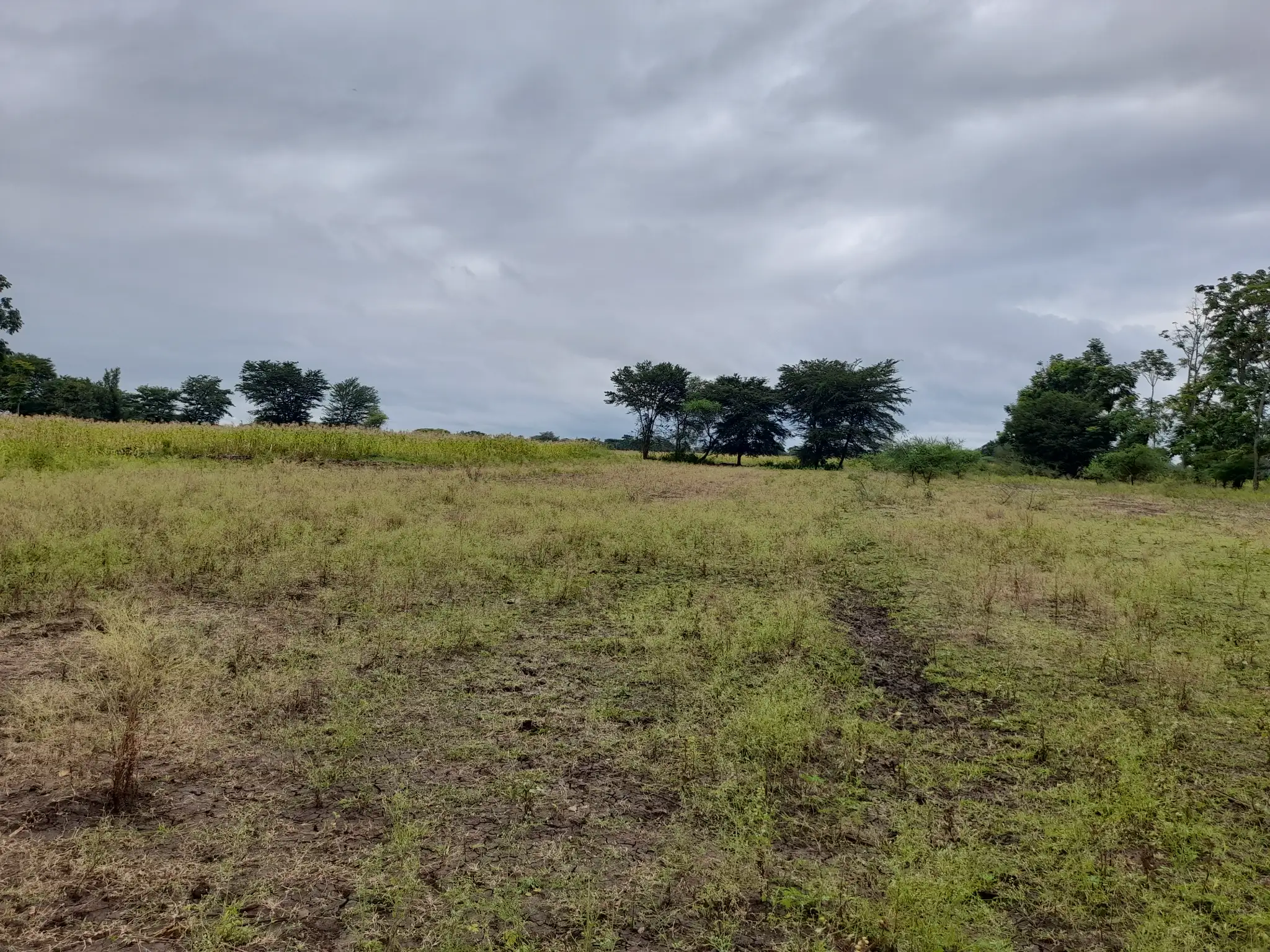 Shamba zuri la ekari 1.2 Olodenderit