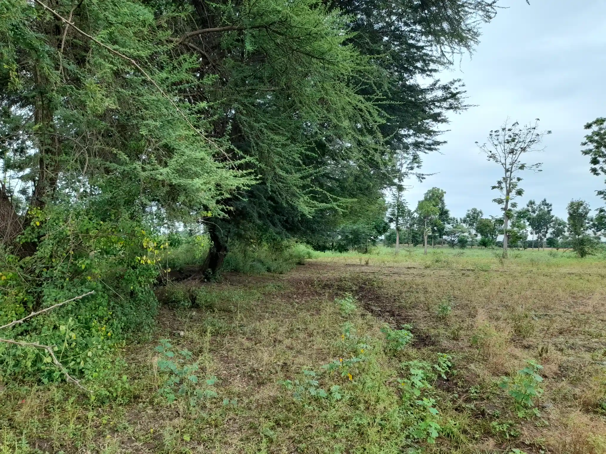 Shamba zuri la ekari 1.2 Olodenderit