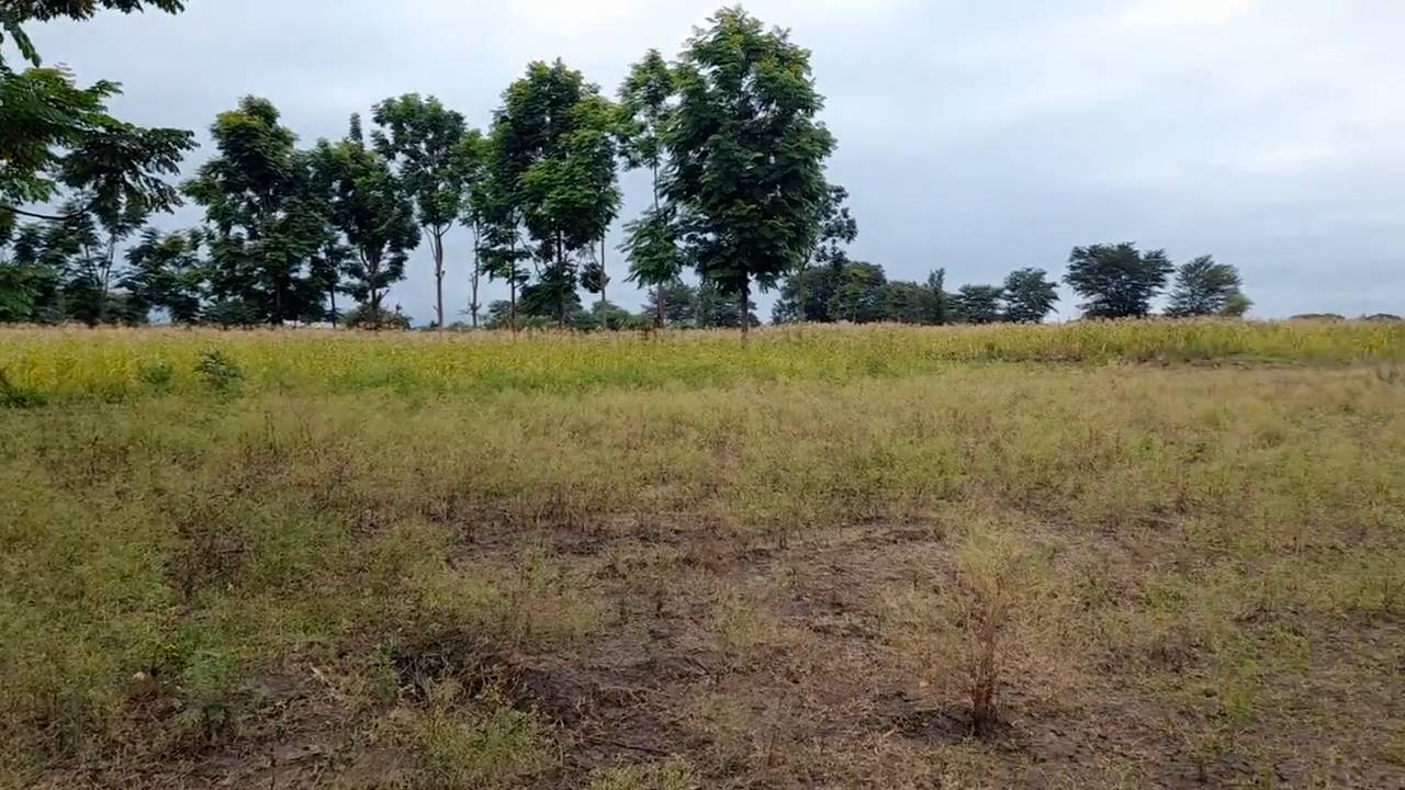 Shamba zuri la ekari 1.2 Olodenderit