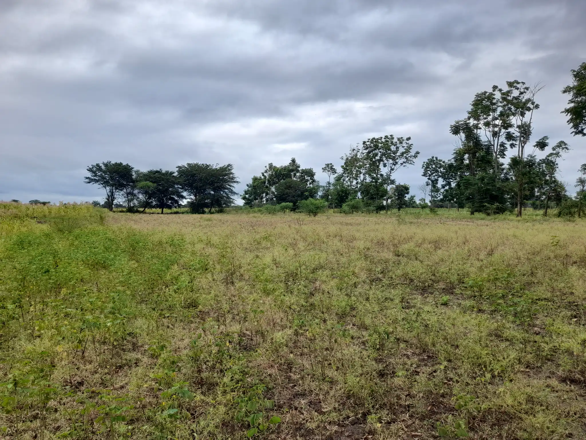 Shamba zuri la ekari 1.2 Olodenderit