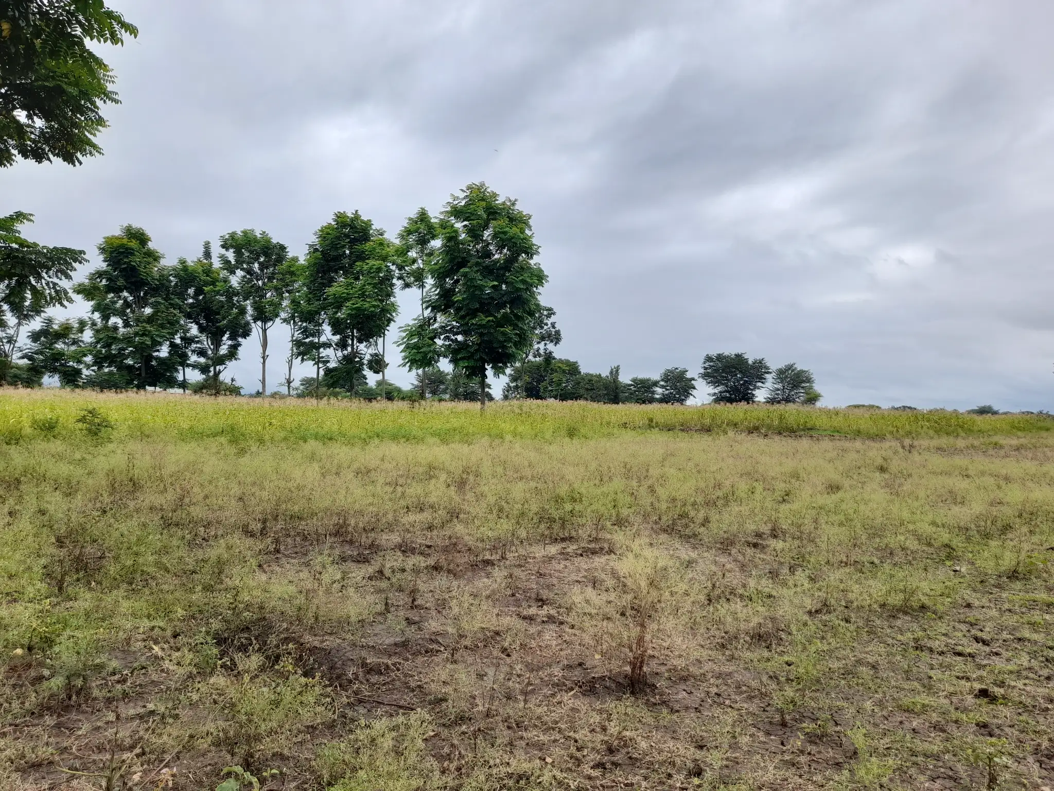 Shamba zuri la ekari 1.2 Olodenderit
