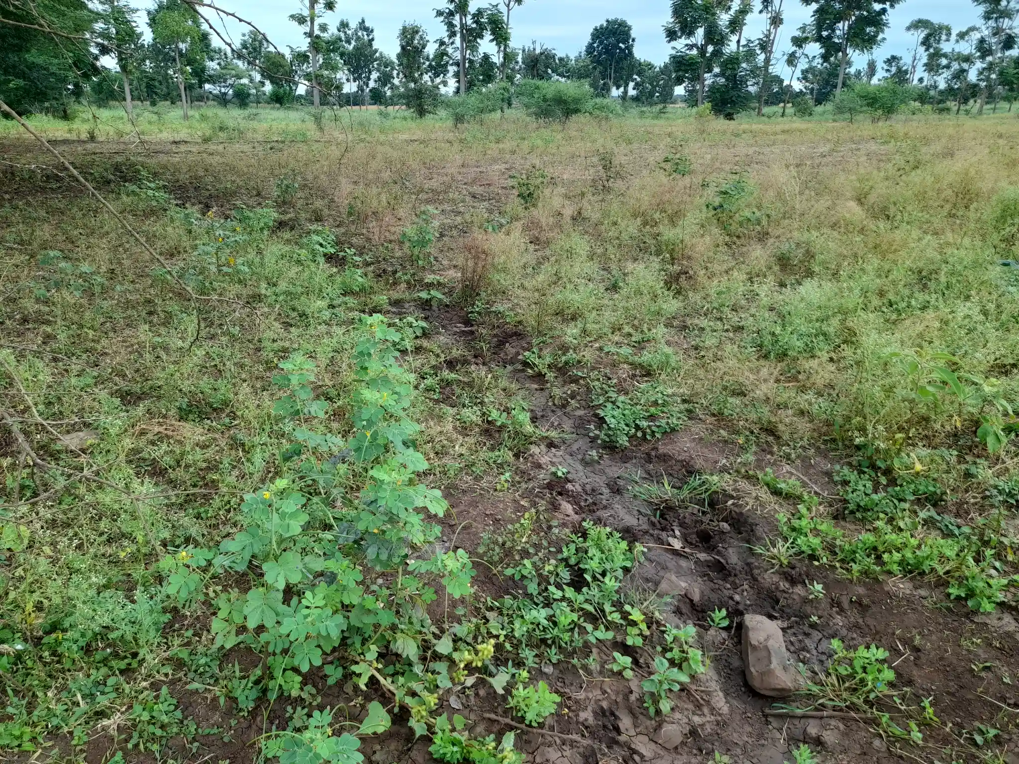Shamba zuri la ekari 1.2 Olodenderit