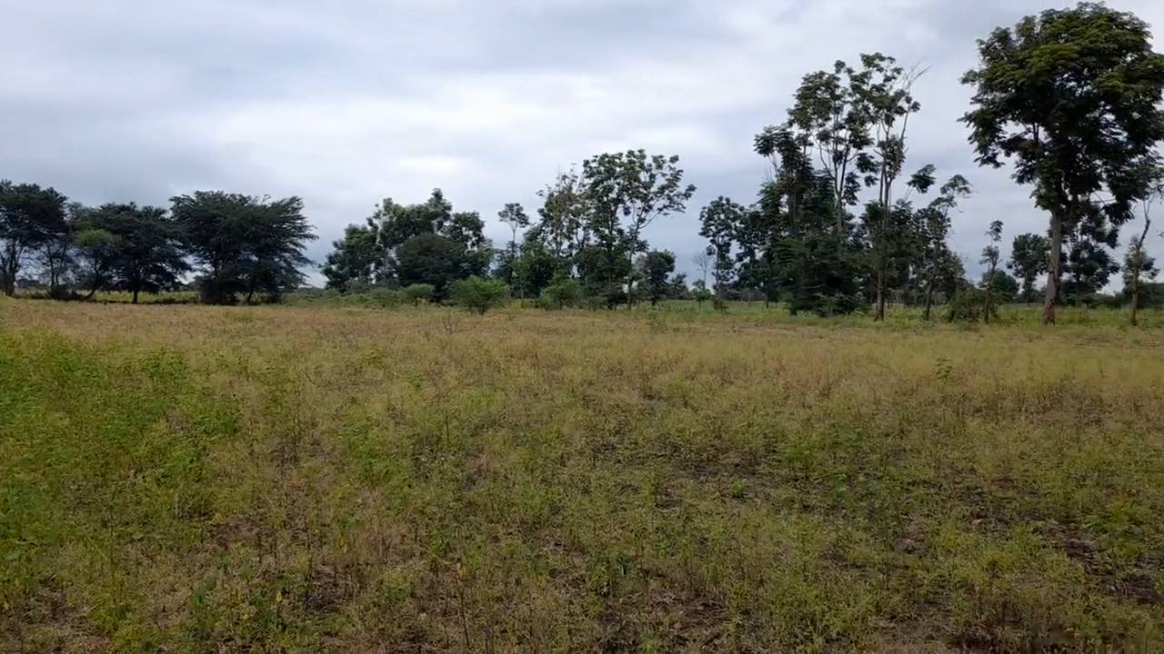 Shamba zuri la ekari 1.2 Olodenderit