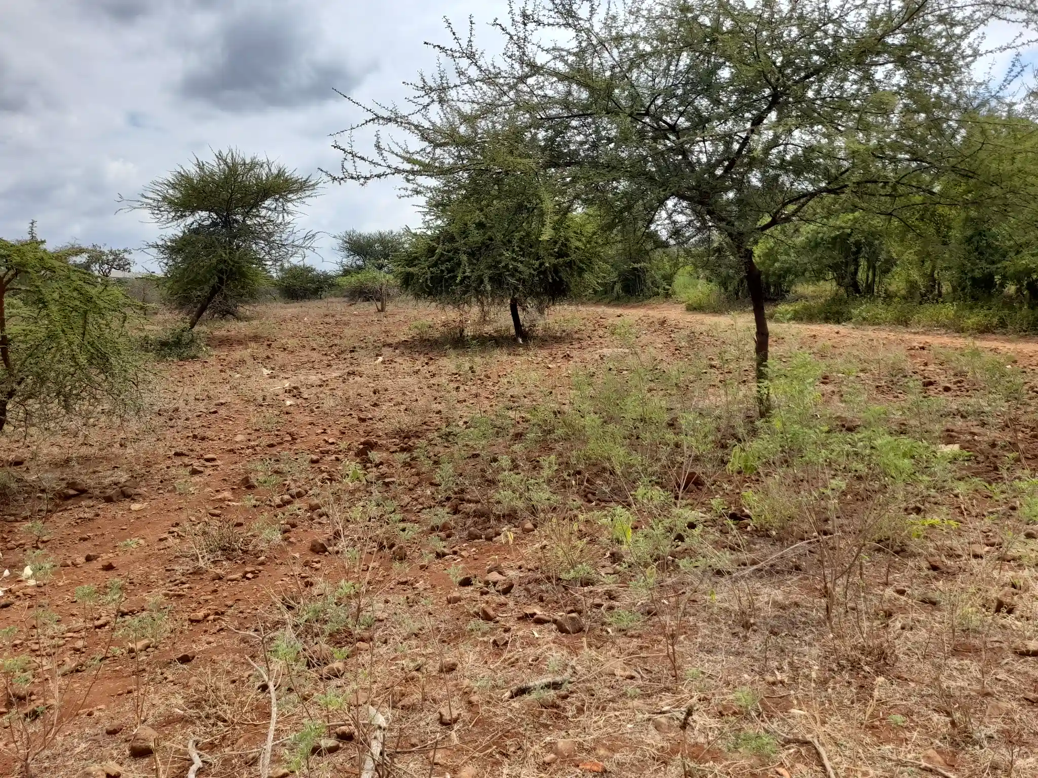 Kiwanja Tulivu cha Makazi cha 25×30m Kinauzwa Kiserian – Karibu na Mto Kijenge