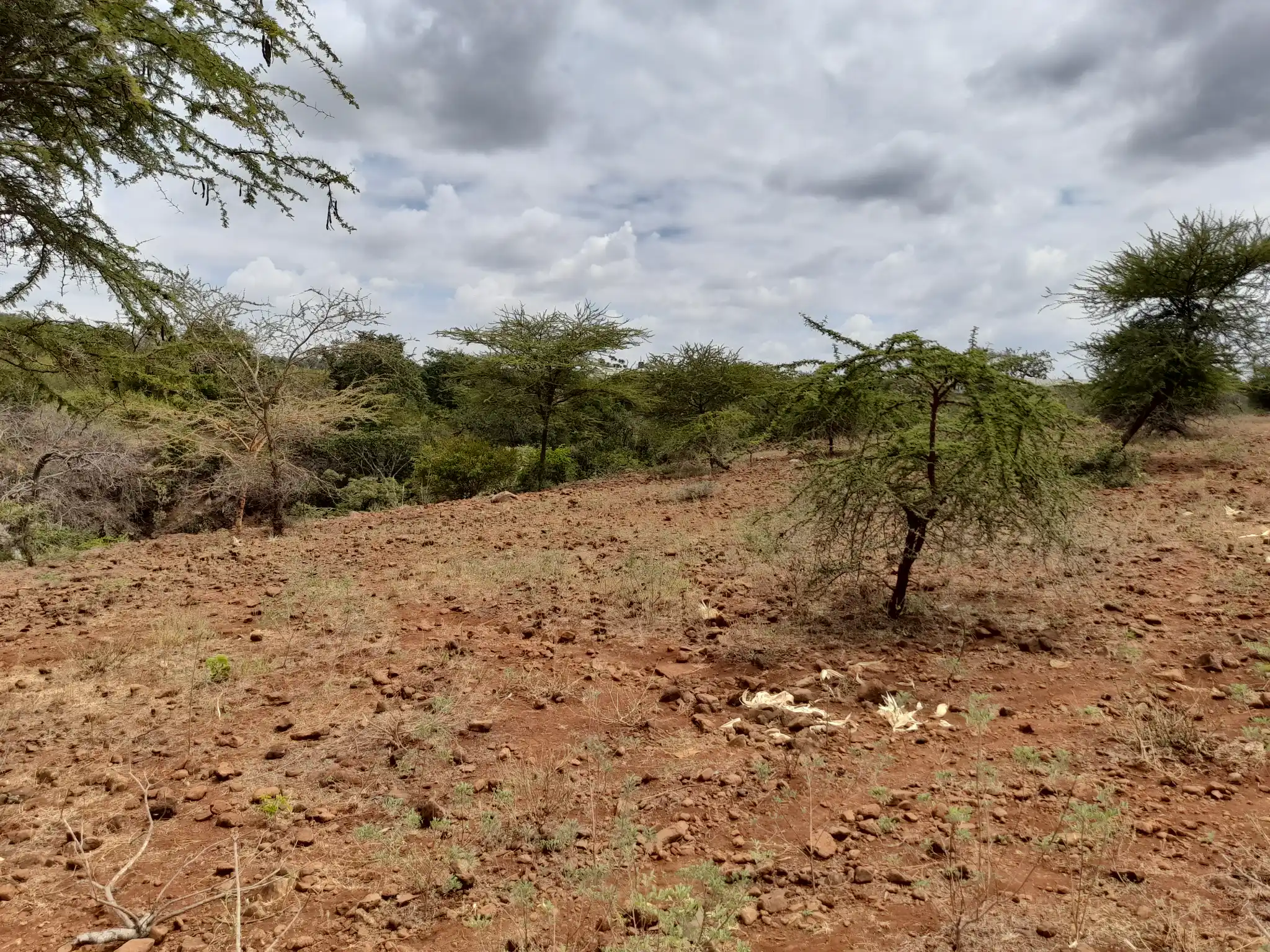 Kiwanja Tulivu cha Makazi cha 25×30m Kinauzwa Kiserian – Karibu na Mto Kijenge