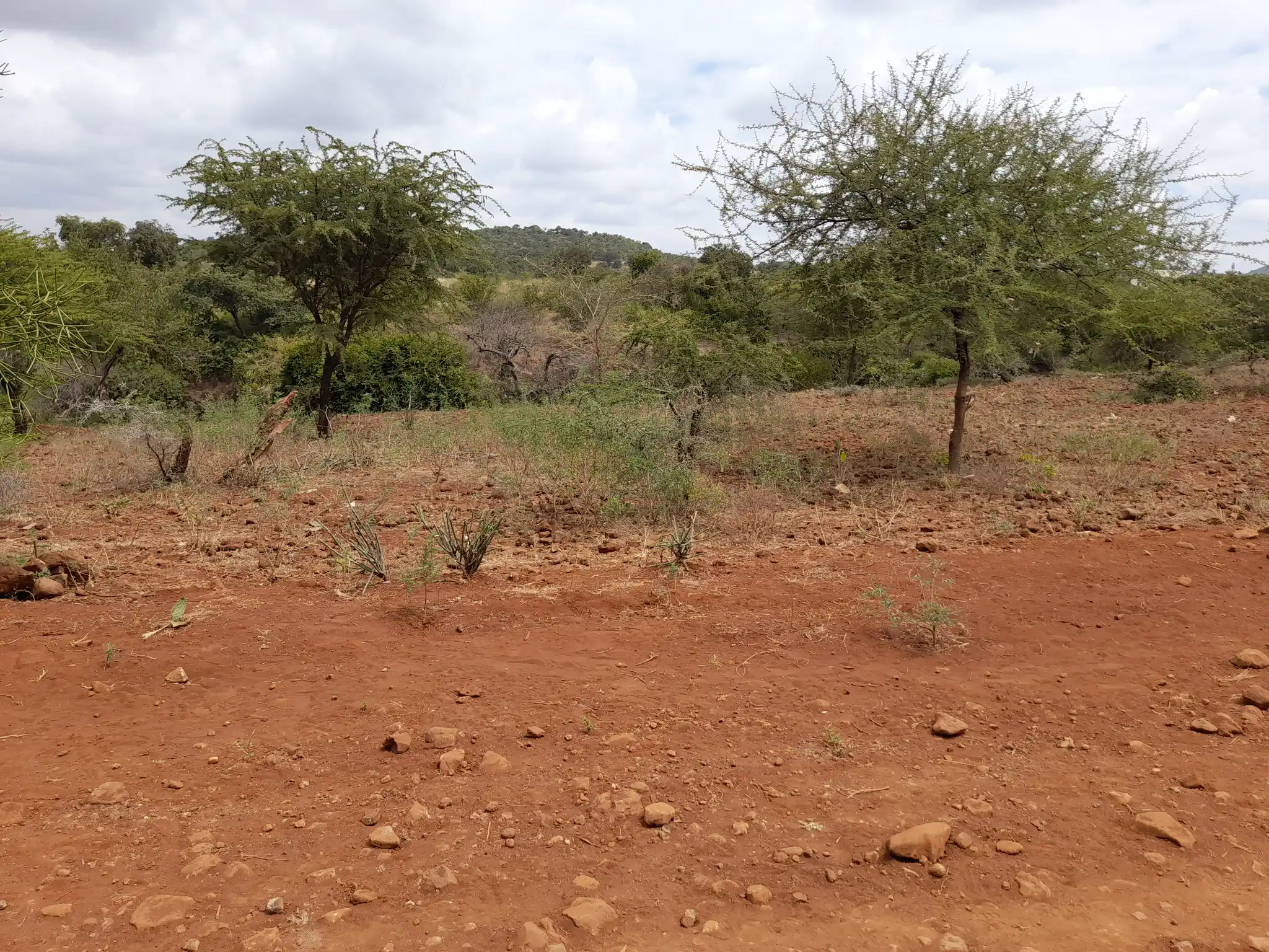 Kiwanja Tulivu cha Makazi cha 25×30m Kinauzwa Kiserian – Karibu na Mto Kijenge