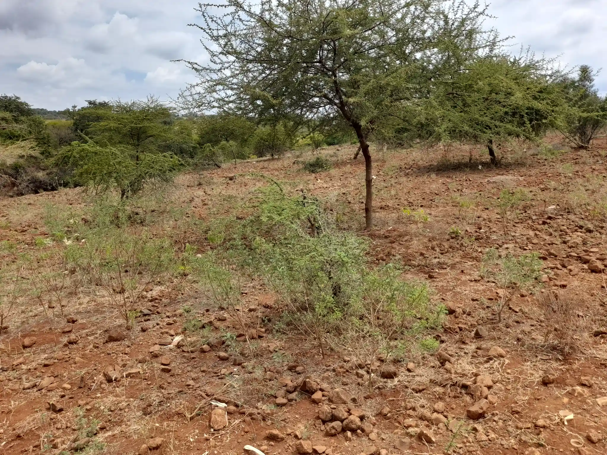 Kiwanja Tulivu cha Makazi cha 25×30m Kinauzwa Kiserian – Karibu na Mto Kijenge