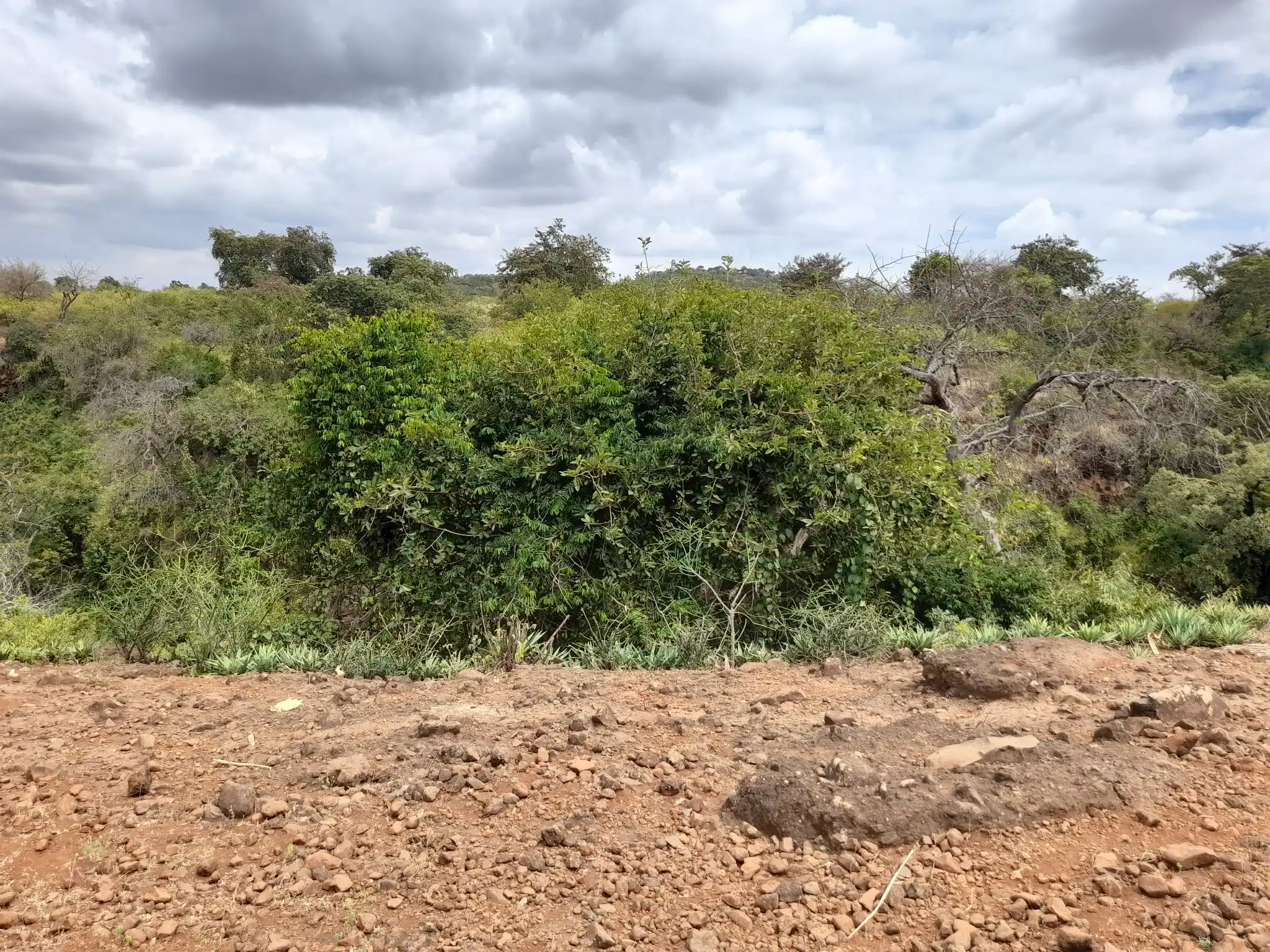 Kiwanja Tulivu cha Makazi cha 25×30m Kinauzwa Kiserian – Karibu na Mto Kijenge