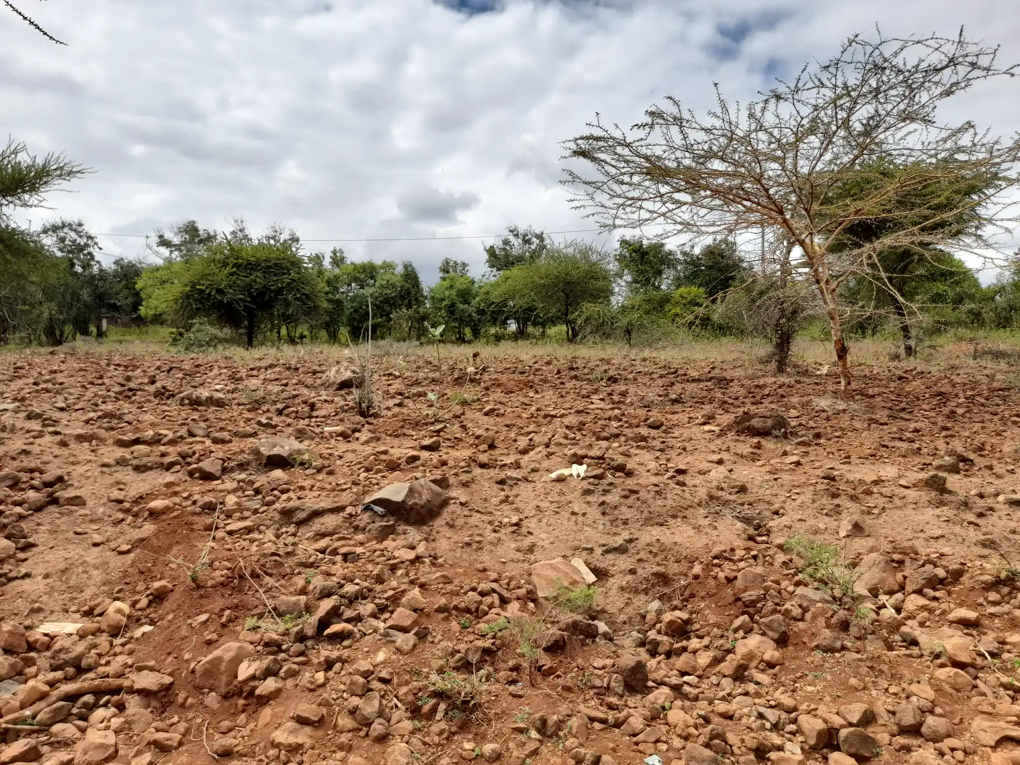 Kiwanja Tulivu cha Makazi cha 25×30m Kinauzwa Kiserian – Karibu na Mto Kijenge