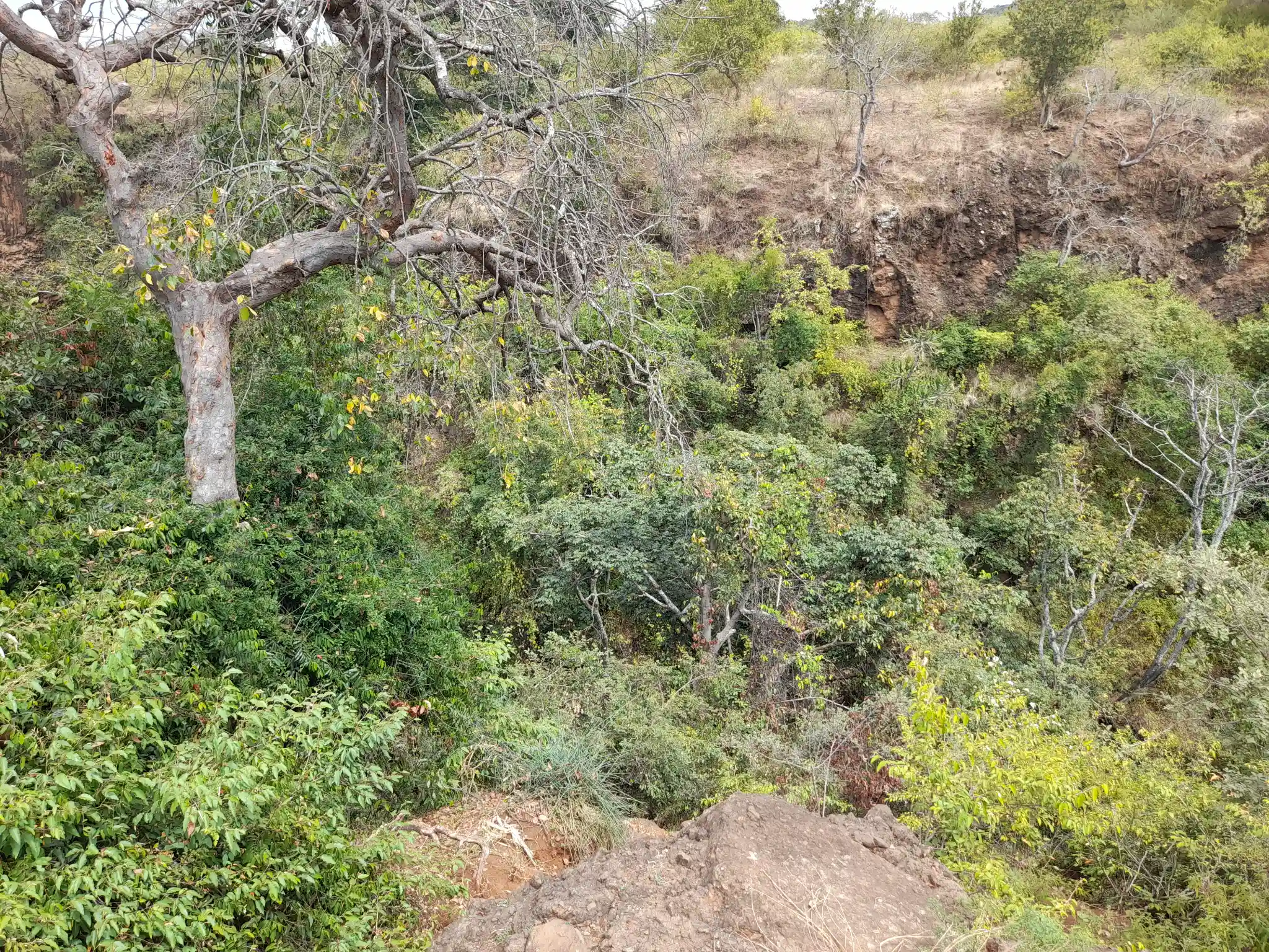 Kiwanja Tulivu cha Makazi cha 25×30m Kinauzwa Kiserian – Karibu na Mto Kijenge
