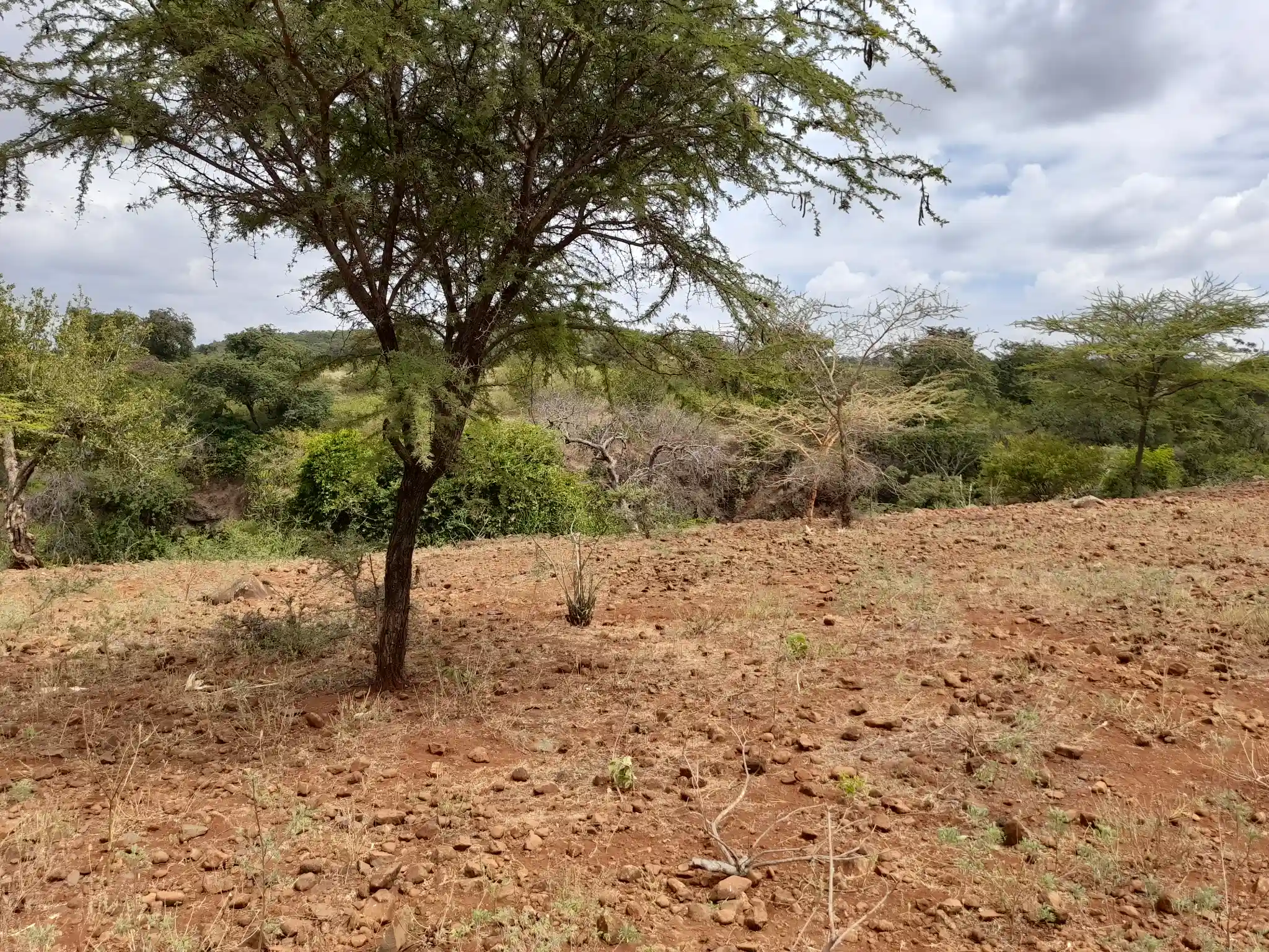 Kiwanja Tulivu cha Makazi cha 25×30m Kinauzwa Kiserian – Karibu na Mto Kijenge