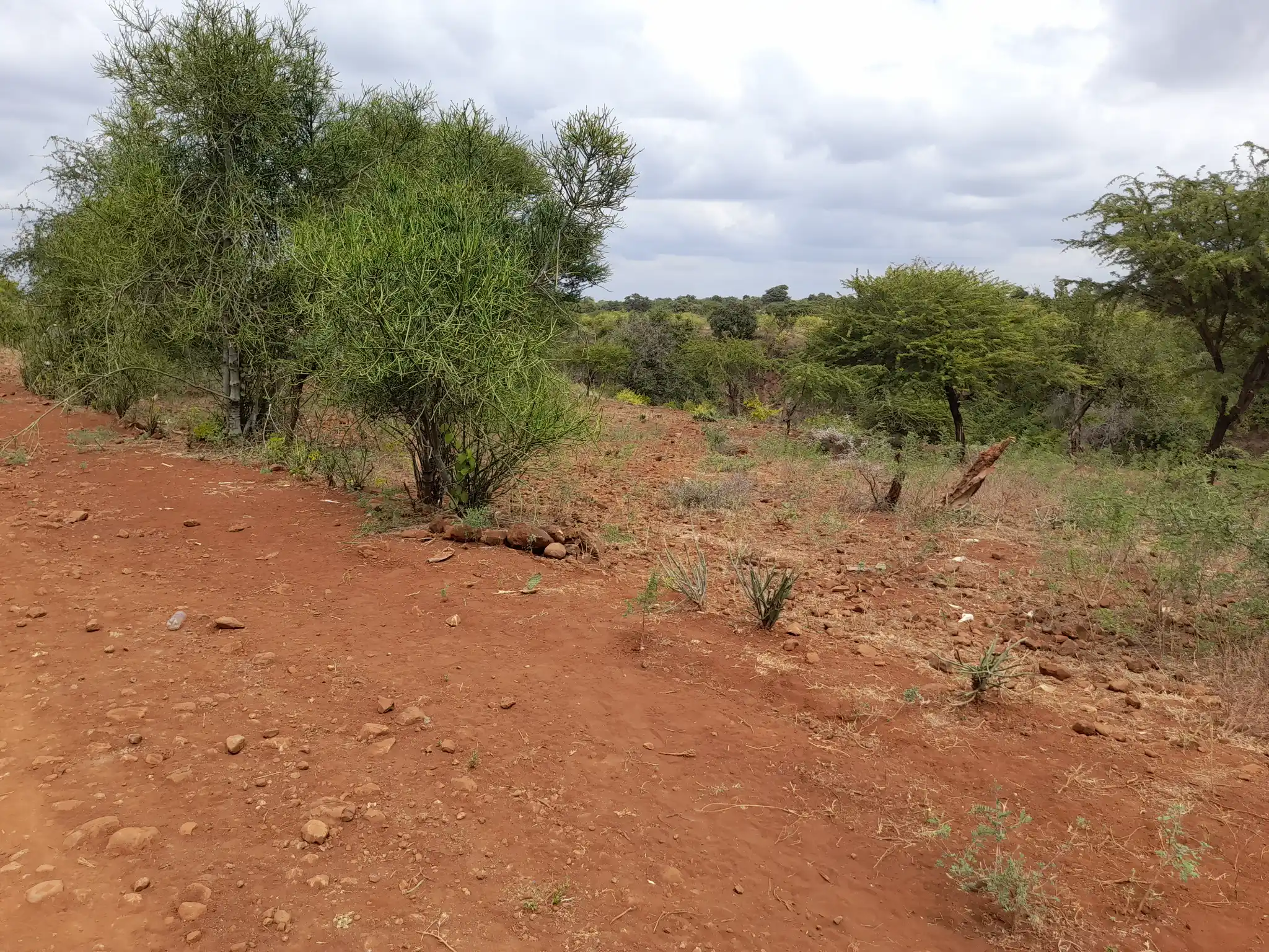 Kiwanja Tulivu cha Makazi cha 25×30m Kinauzwa Kiserian – Karibu na Mto Kijenge