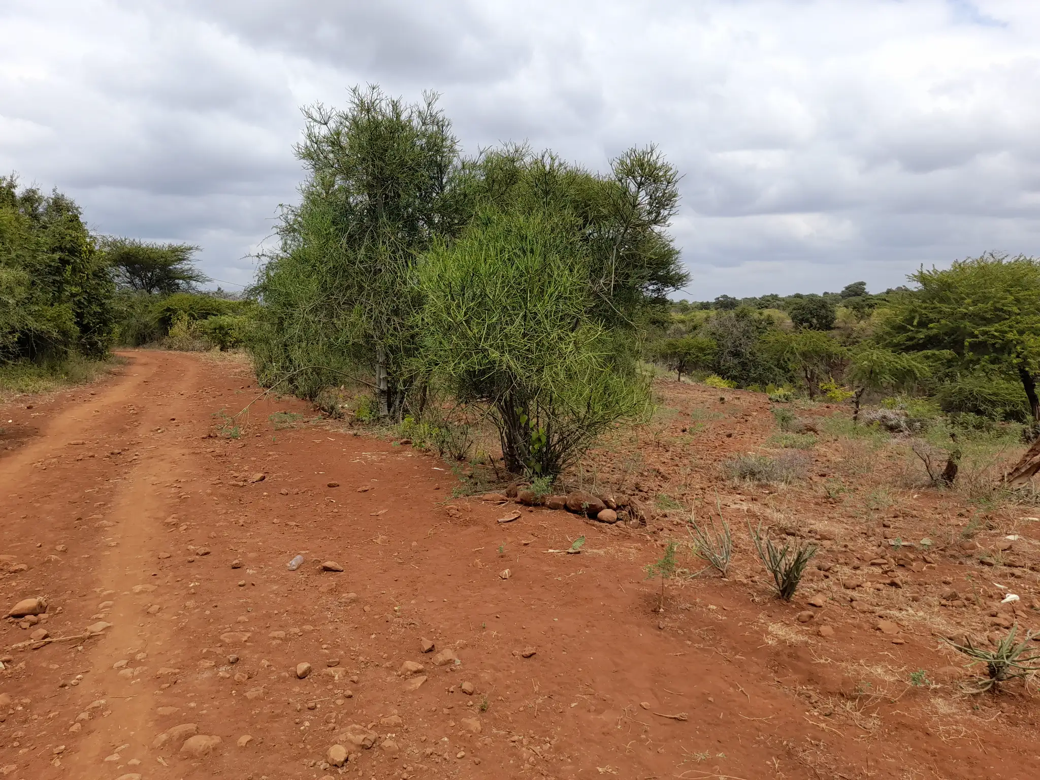 Kiwanja Tulivu cha Makazi cha 25×30m Kinauzwa Kiserian – Karibu na Mto Kijenge