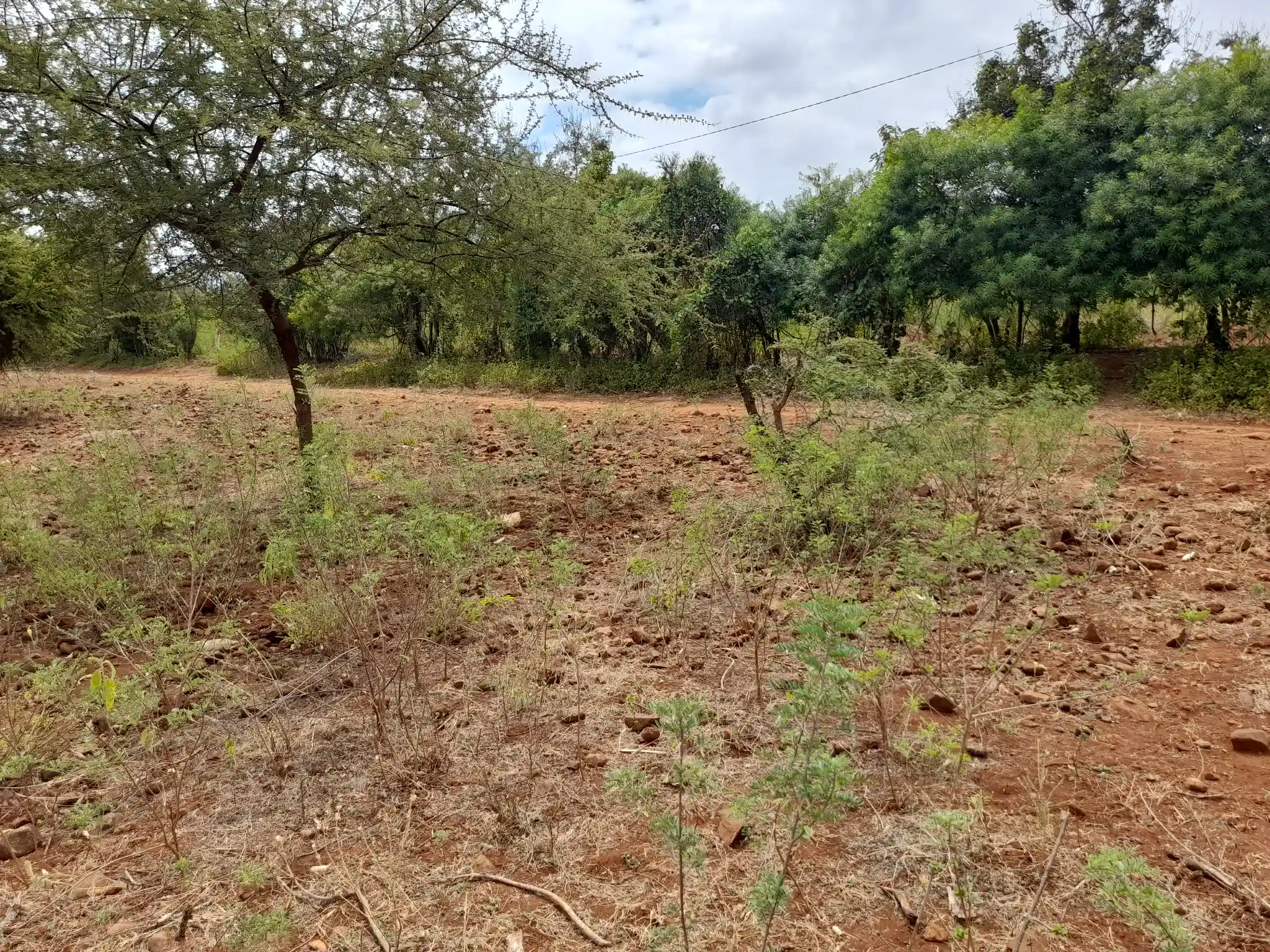 Kiwanja Tulivu cha Makazi cha 25×30m Kinauzwa Kiserian – Karibu na Mto Kijenge