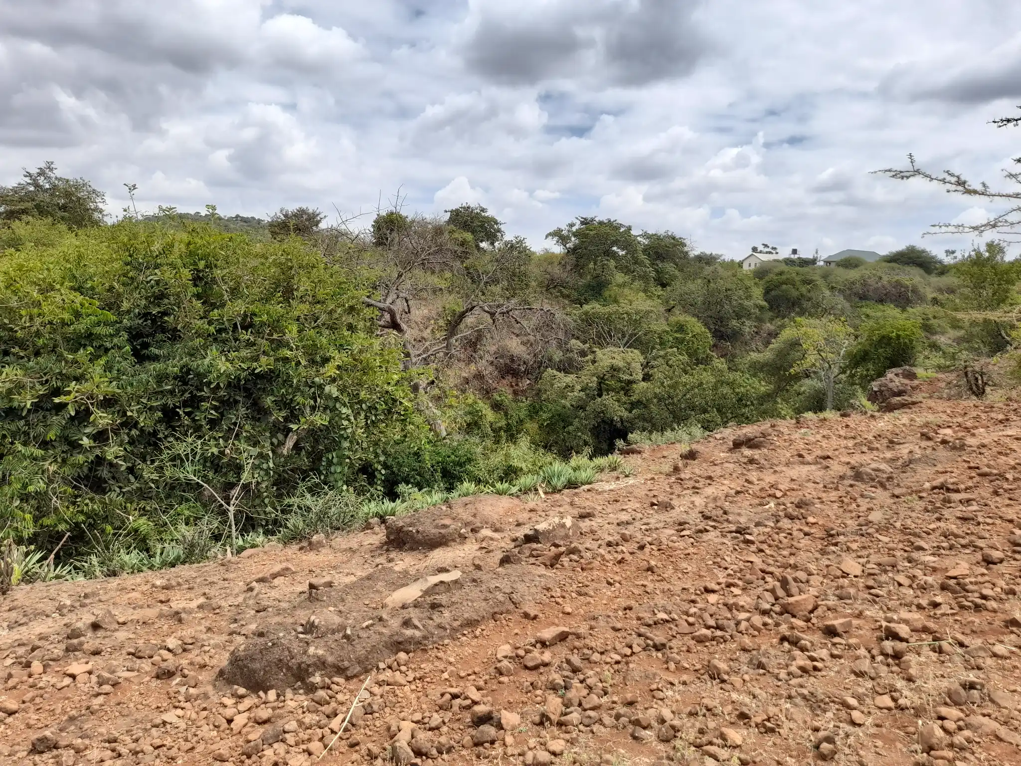 Kiwanja Tulivu cha Makazi cha 25×30m Kinauzwa Kiserian – Karibu na Mto Kijenge