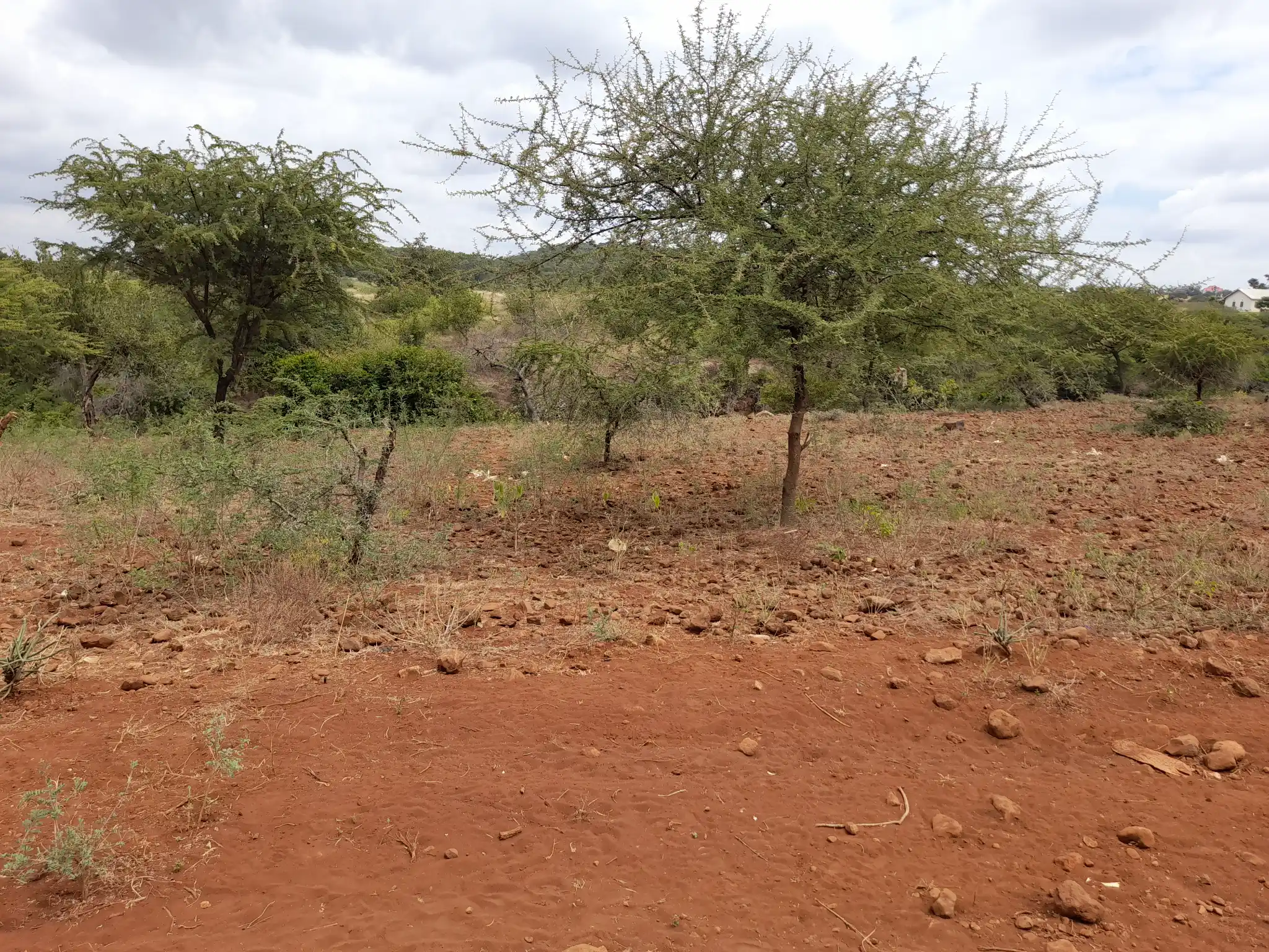 Kiwanja Tulivu cha Makazi cha 25×30m Kinauzwa Kiserian – Karibu na Mto Kijenge