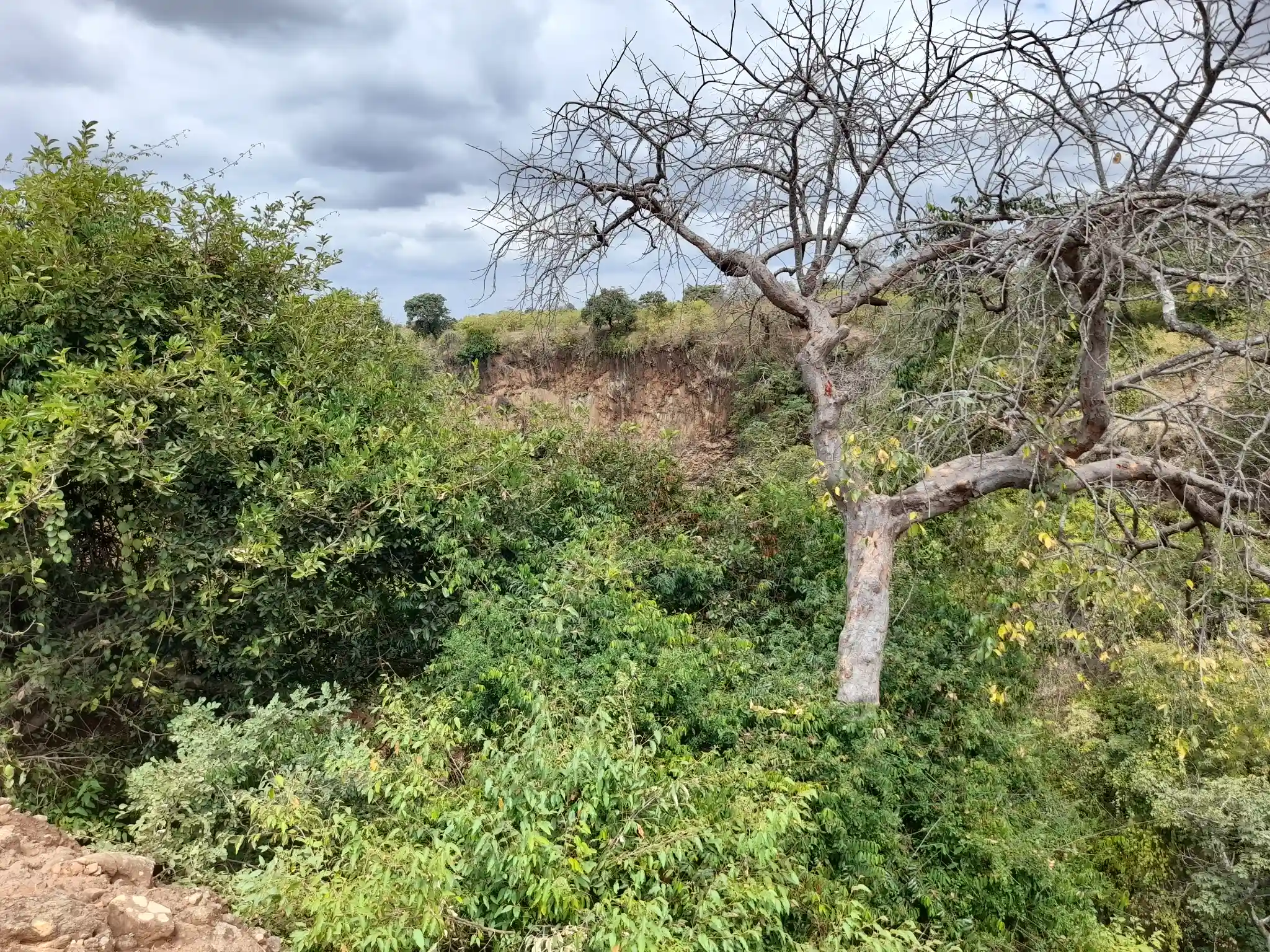 Kiwanja Tulivu cha Makazi cha 25×30m Kinauzwa Kiserian – Karibu na Mto Kijenge