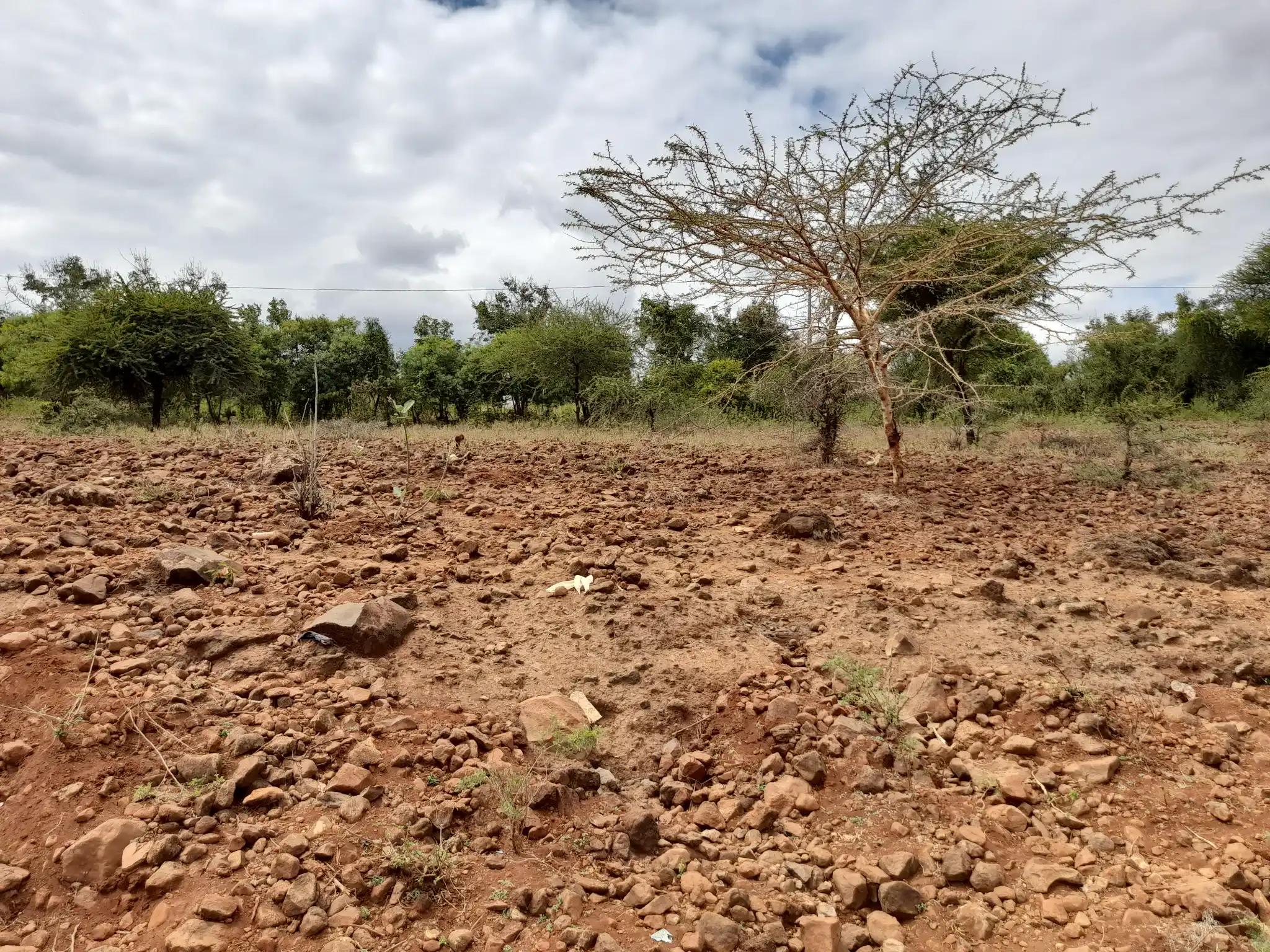 Kiwanja Tulivu cha Makazi cha 25×30m Kinauzwa Kiserian – Karibu na Mto Kijenge