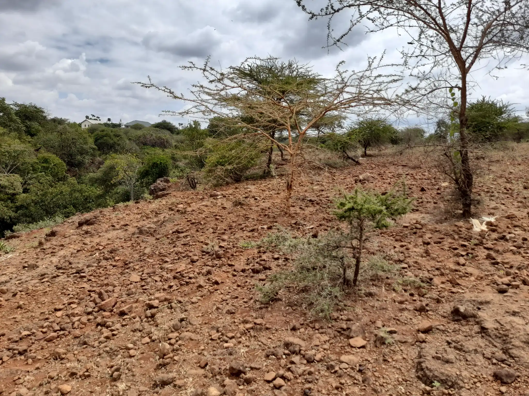 Kiwanja Tulivu cha Makazi cha 25×30m Kinauzwa Kiserian – Karibu na Mto Kijenge