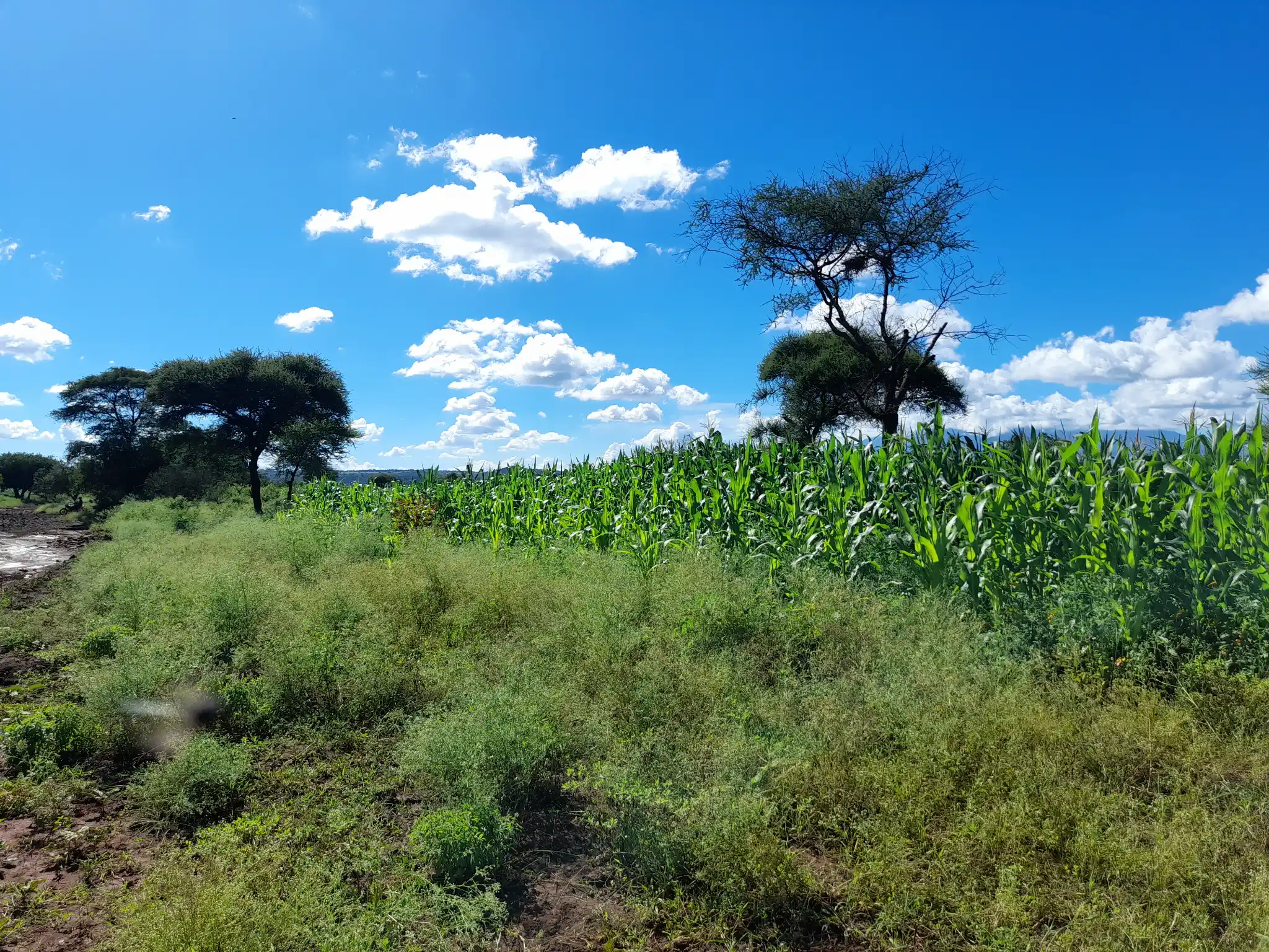 Shamba zuri la ekari 0.9 Olodenderit