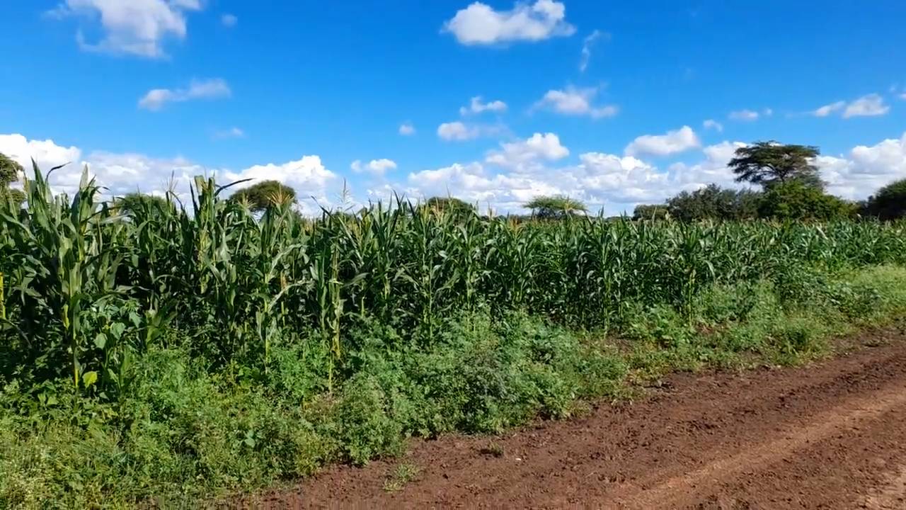 Shamba zuri la ekari 0.9 Olodenderit