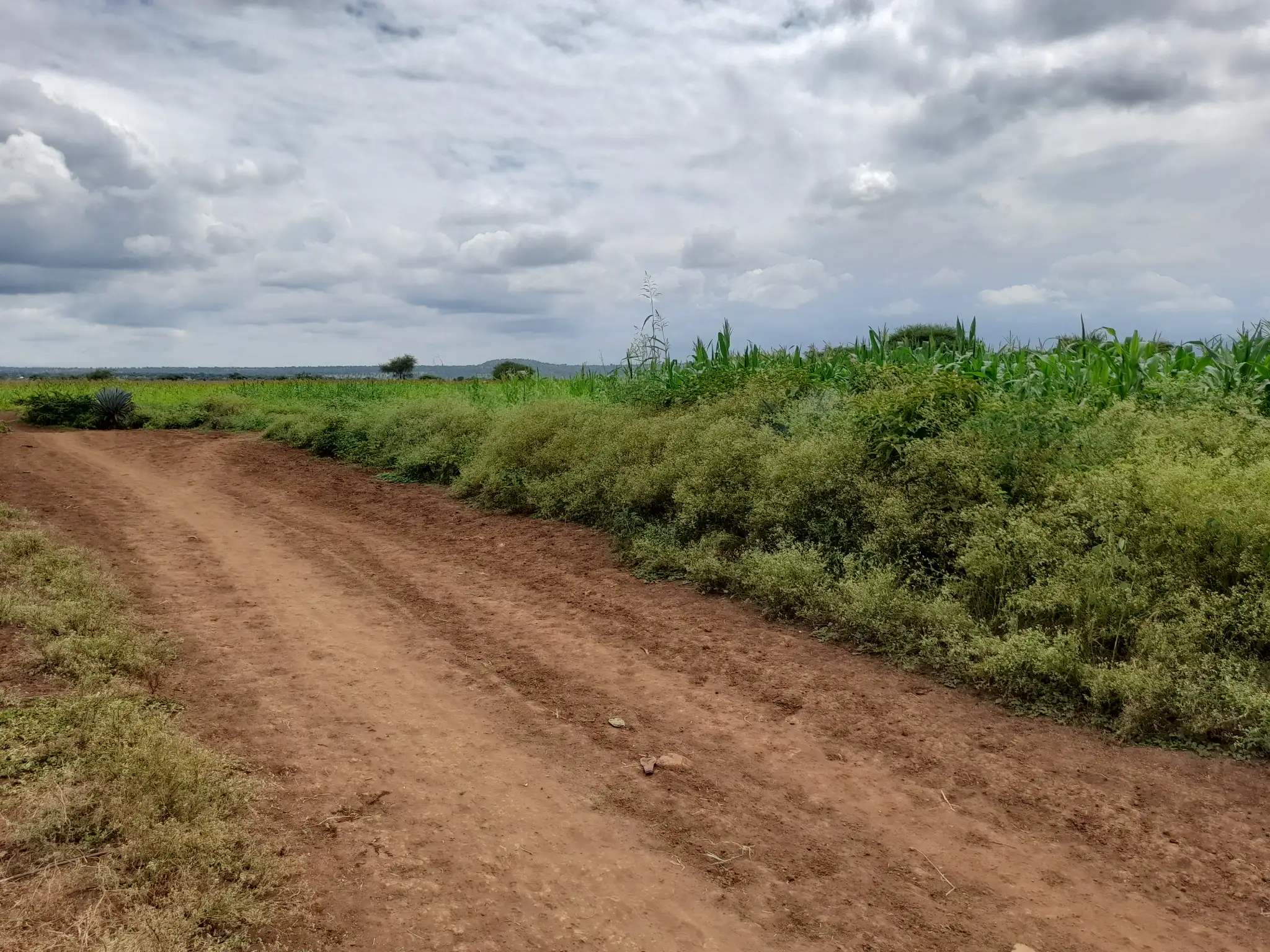 Shamba zuri la ekari 3.6 Olodenderit