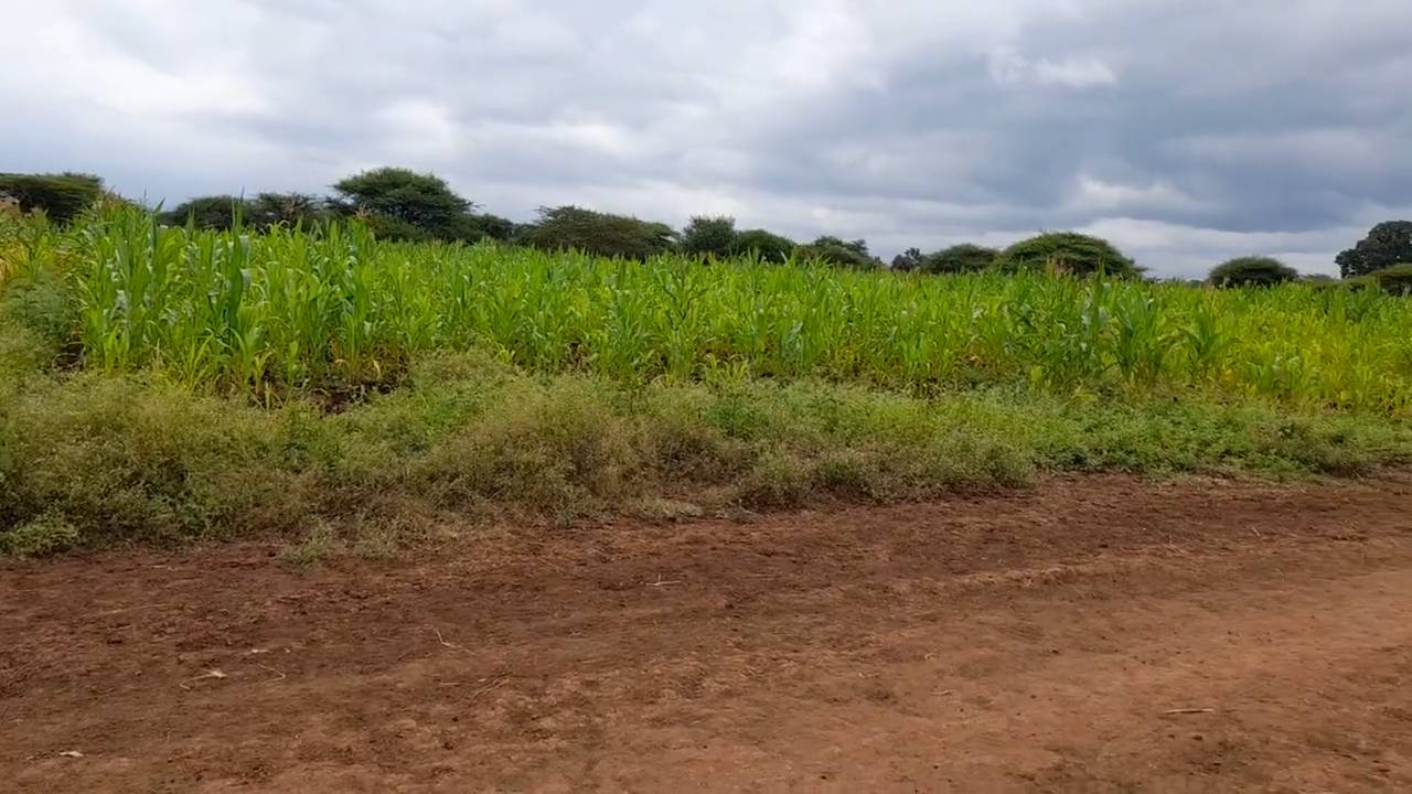 Shamba zuri la ekari 3.6 Olodenderit