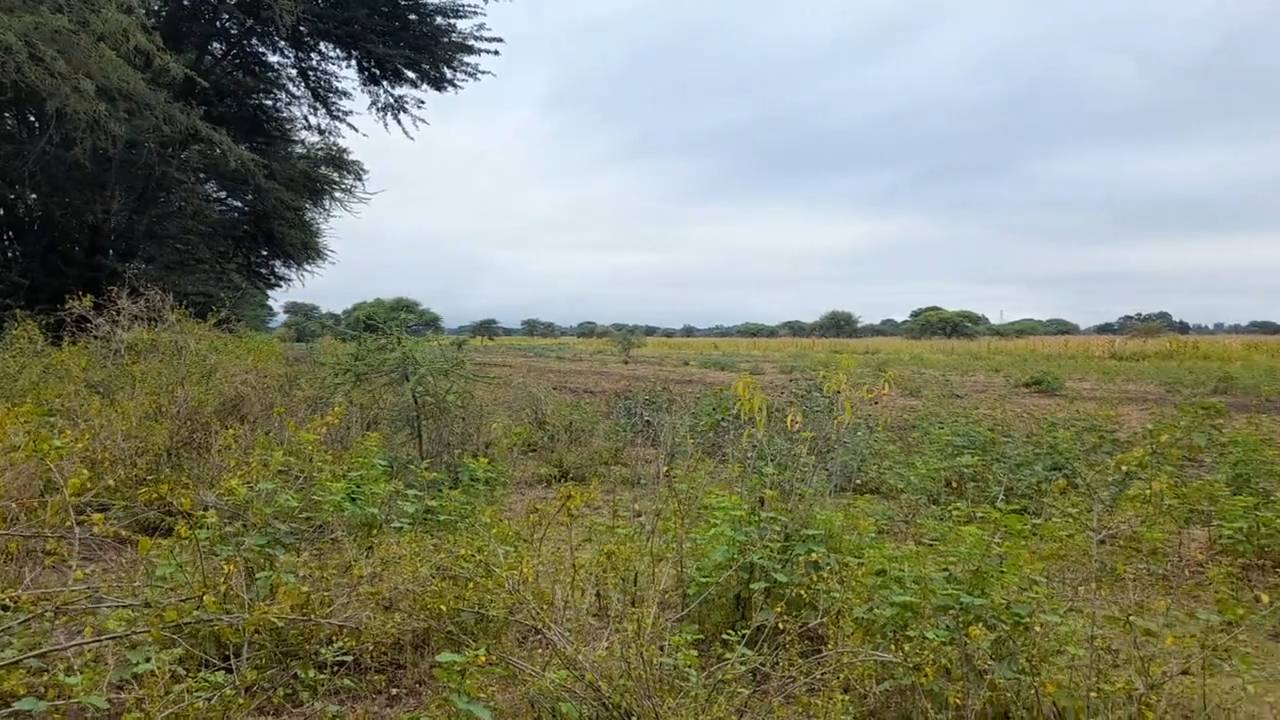 Shamba zuri la ekari 4.2 Olodenderit