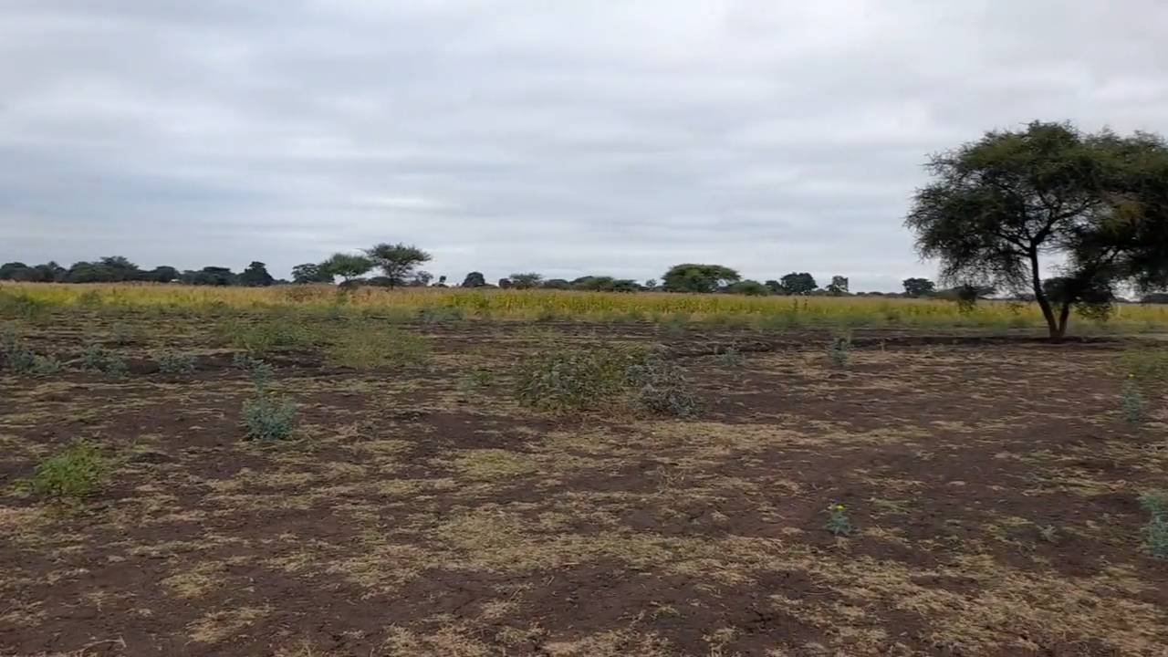 Shamba zuri la ekari 4.2 Olodenderit