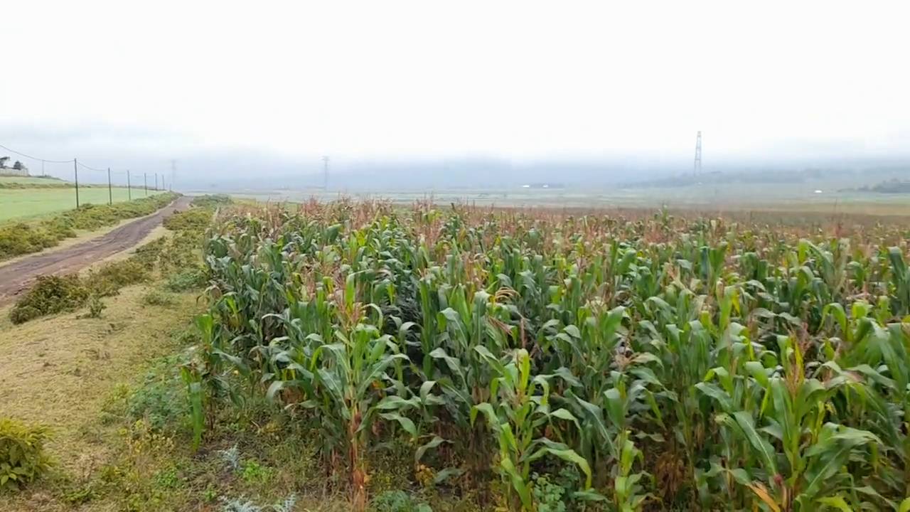 Kiwanja bora cha ekari 3 Likamba, karibu na barabara kuu, kinafaa kwa makazi au uwekezaji