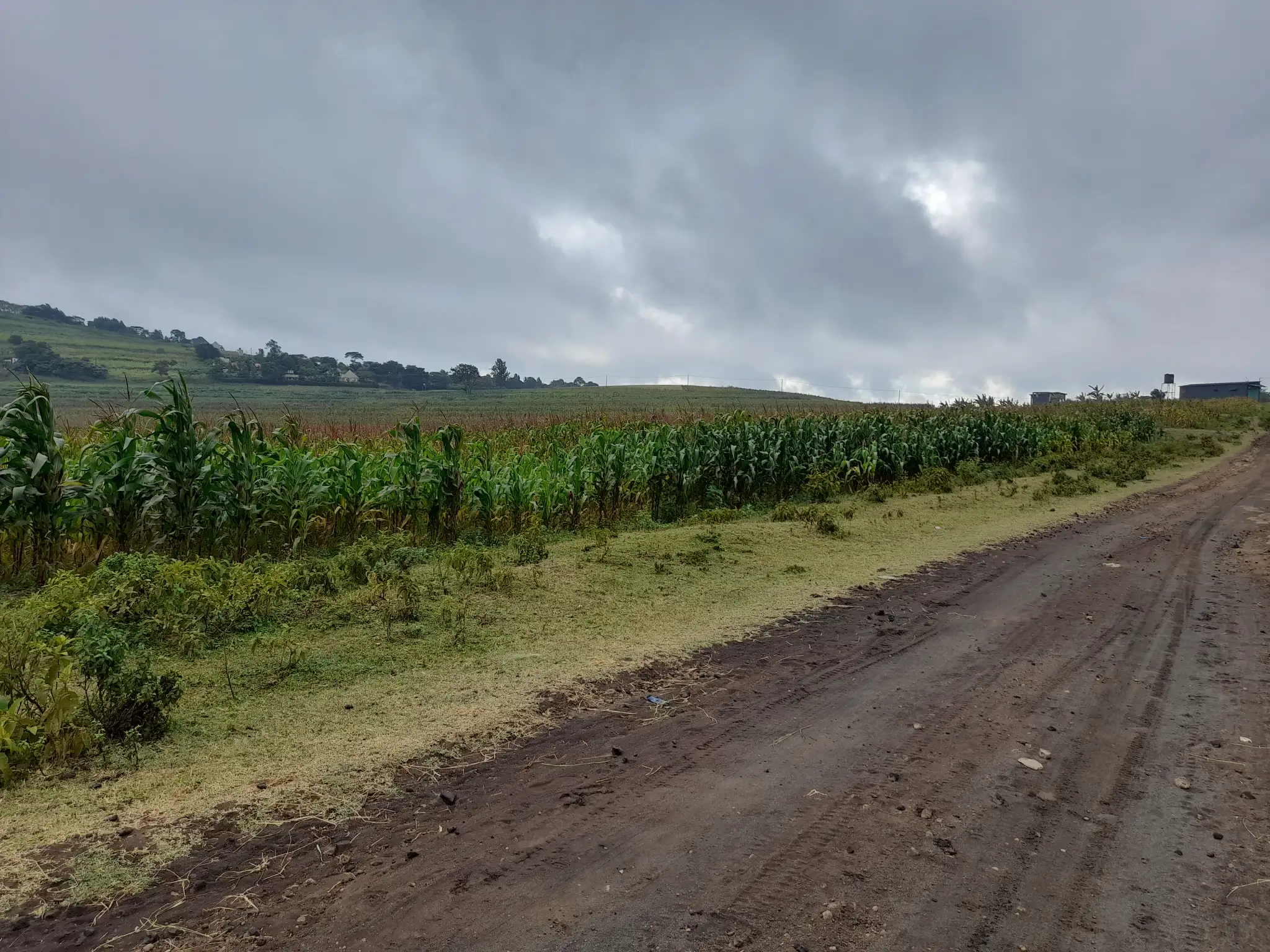 Kiwanja bora cha ekari 3 Likamba, karibu na barabara kuu, kinafaa kwa makazi au uwekezaji