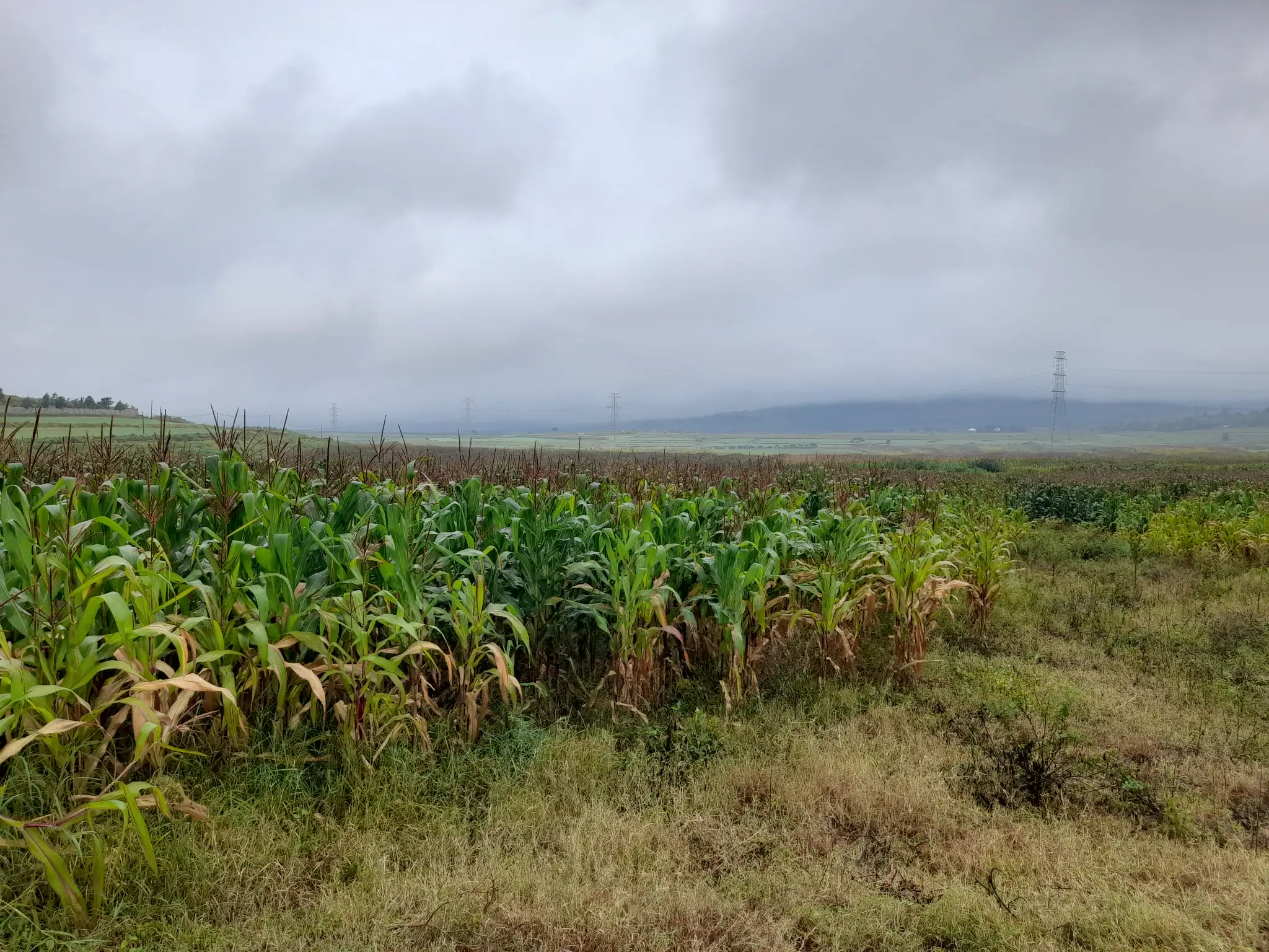 Kiwanja bora cha ekari 3 Likamba, karibu na barabara kuu, kinafaa kwa makazi au uwekezaji