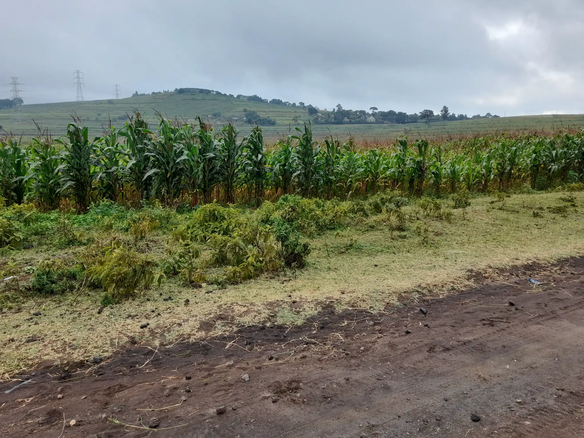 Kiwanja bora cha ekari 3 Likamba, karibu na barabara kuu, kinafaa kwa makazi au uwekezaji