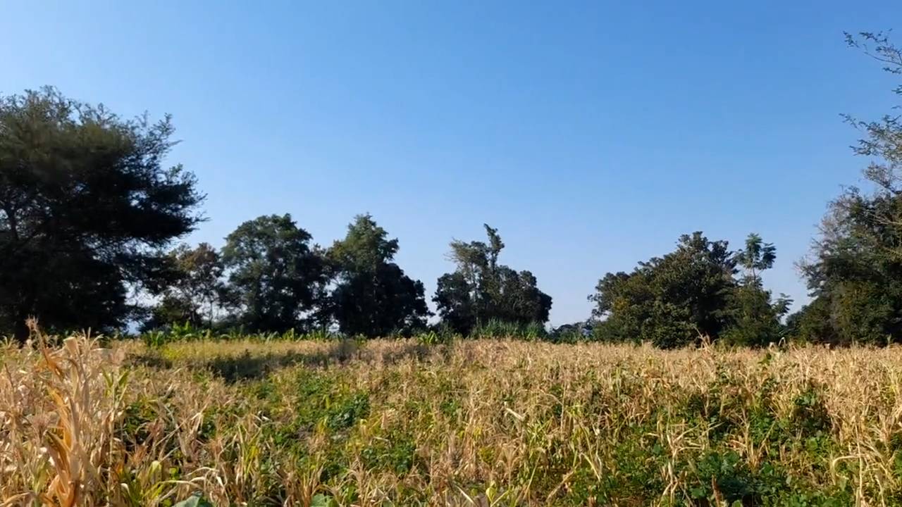 Shamba la Kilimo Ekari 1.2 Kichangani, Nduruma – Linafaa kwa Karanga, Viazi na Mihogo